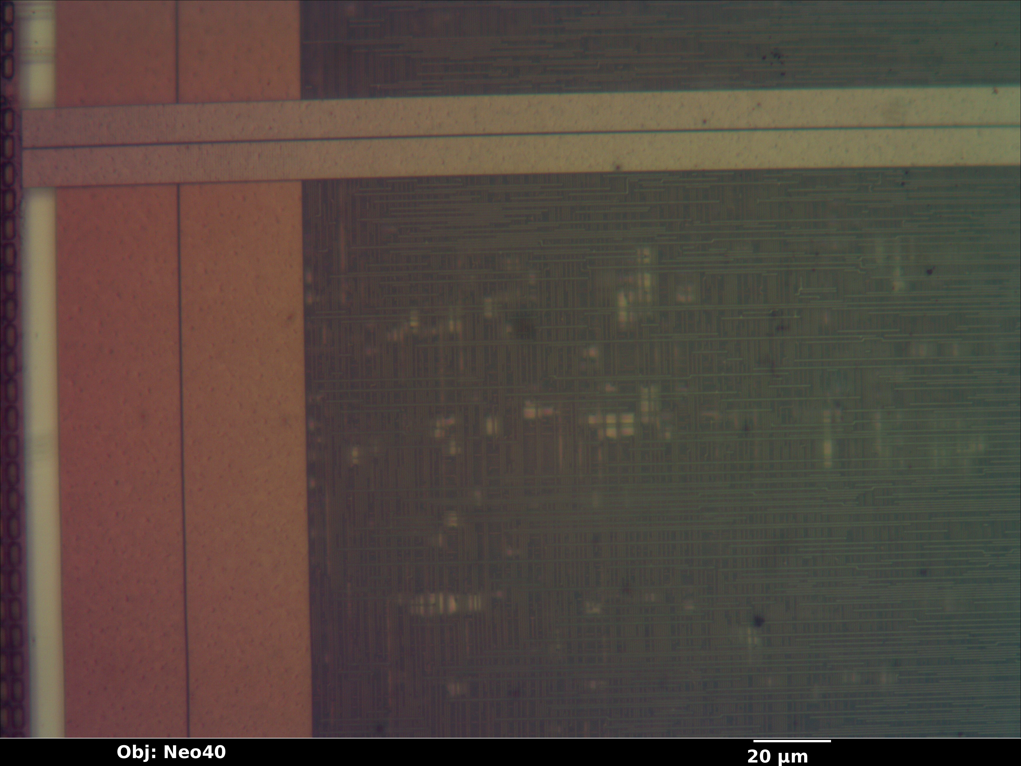 enc424j600_02_bf_neo40x_annotated.jpg