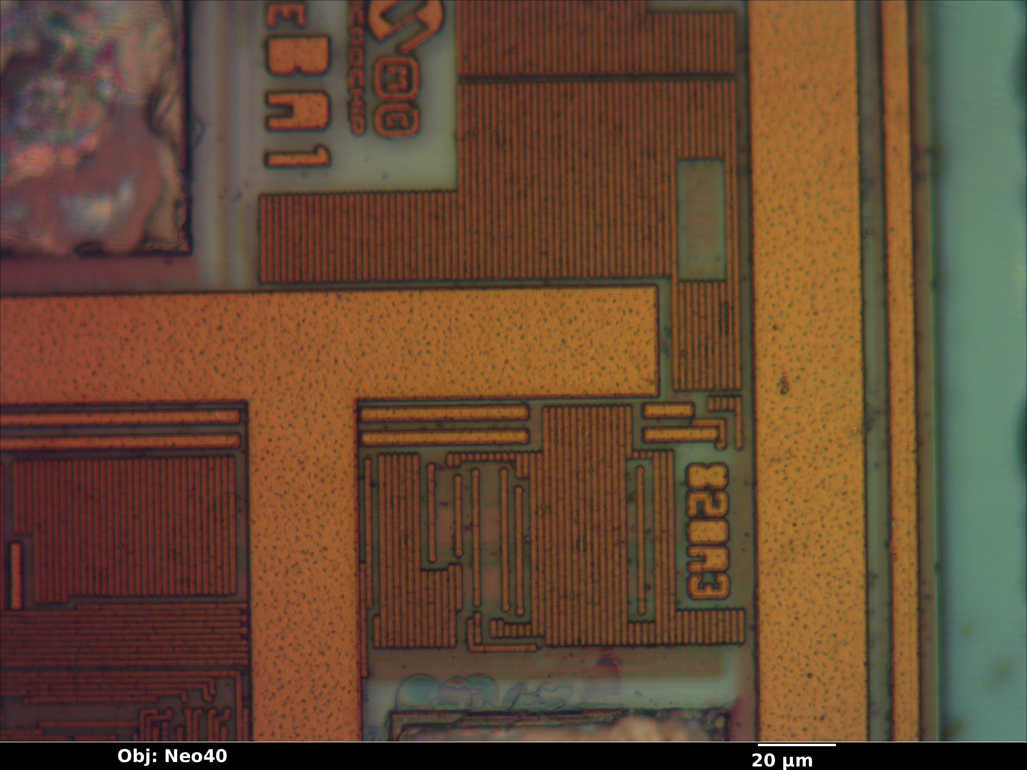 pic10f200_02_bf_neo40x_annotated.jpg