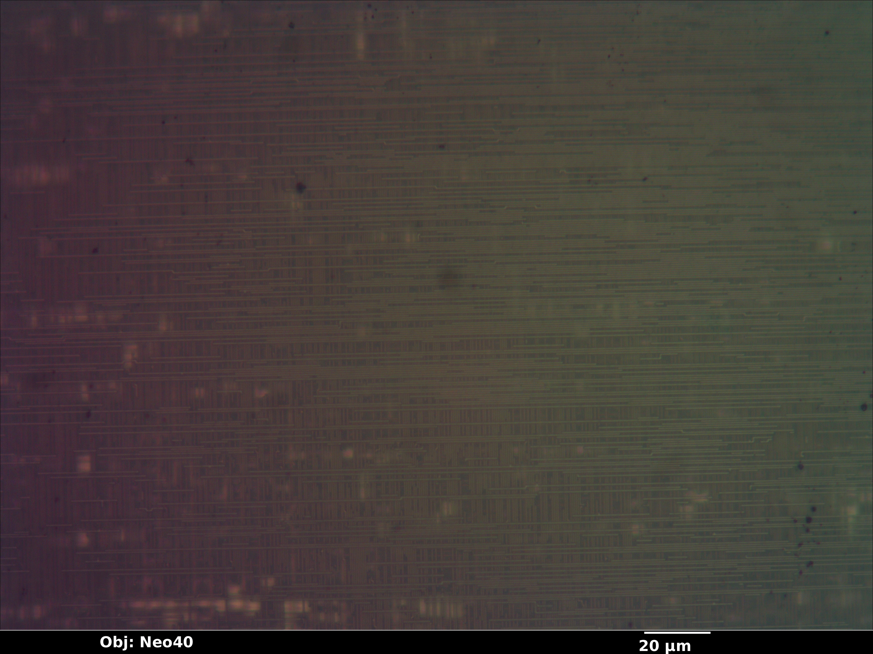 enc424j600_01_bf_neo40x_annotated.jpg