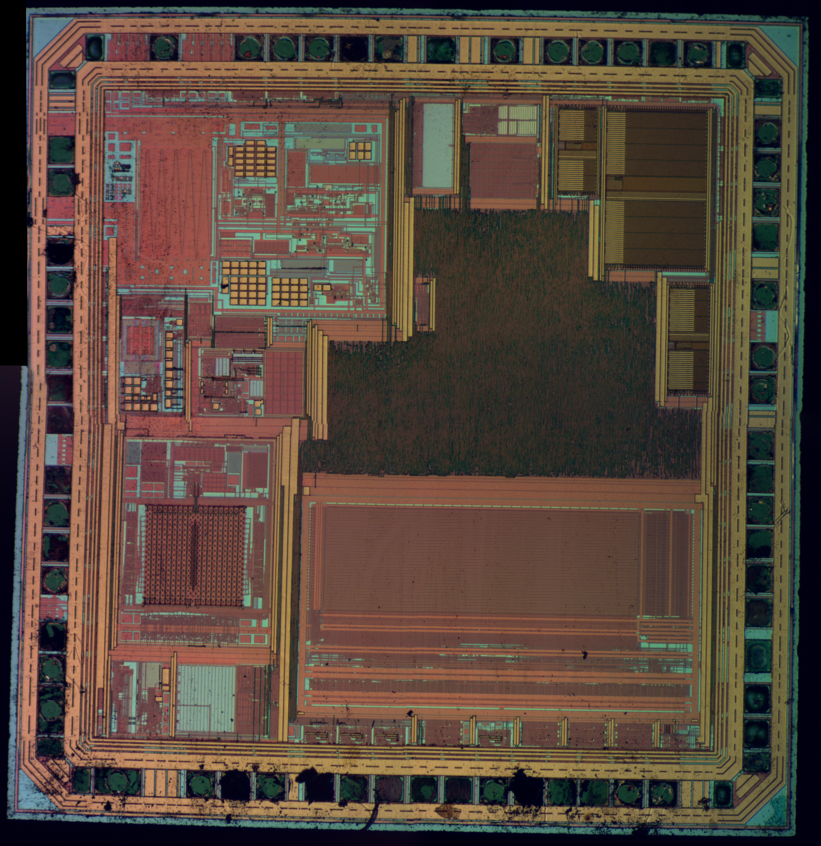 pic18f24j10_bf_neo5x.jpg