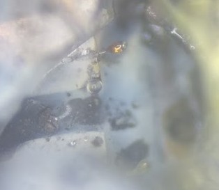 co2_1.jpg co2_1.jpg