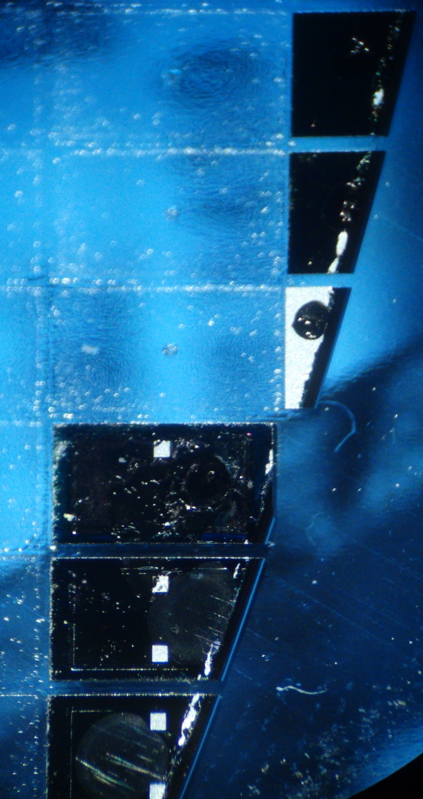 blue_tak_side.jpg blue_tak_side.jpg