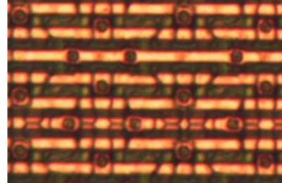 m2_img.png m2_img.png