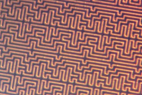 security-mesh-cropped.jpeg security-mesh-cropped.jpeg