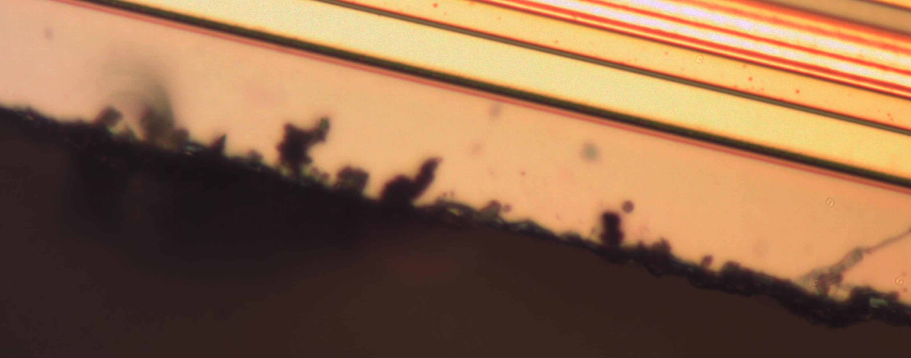proskit_contamination.jpg proskit_contamination.jpg