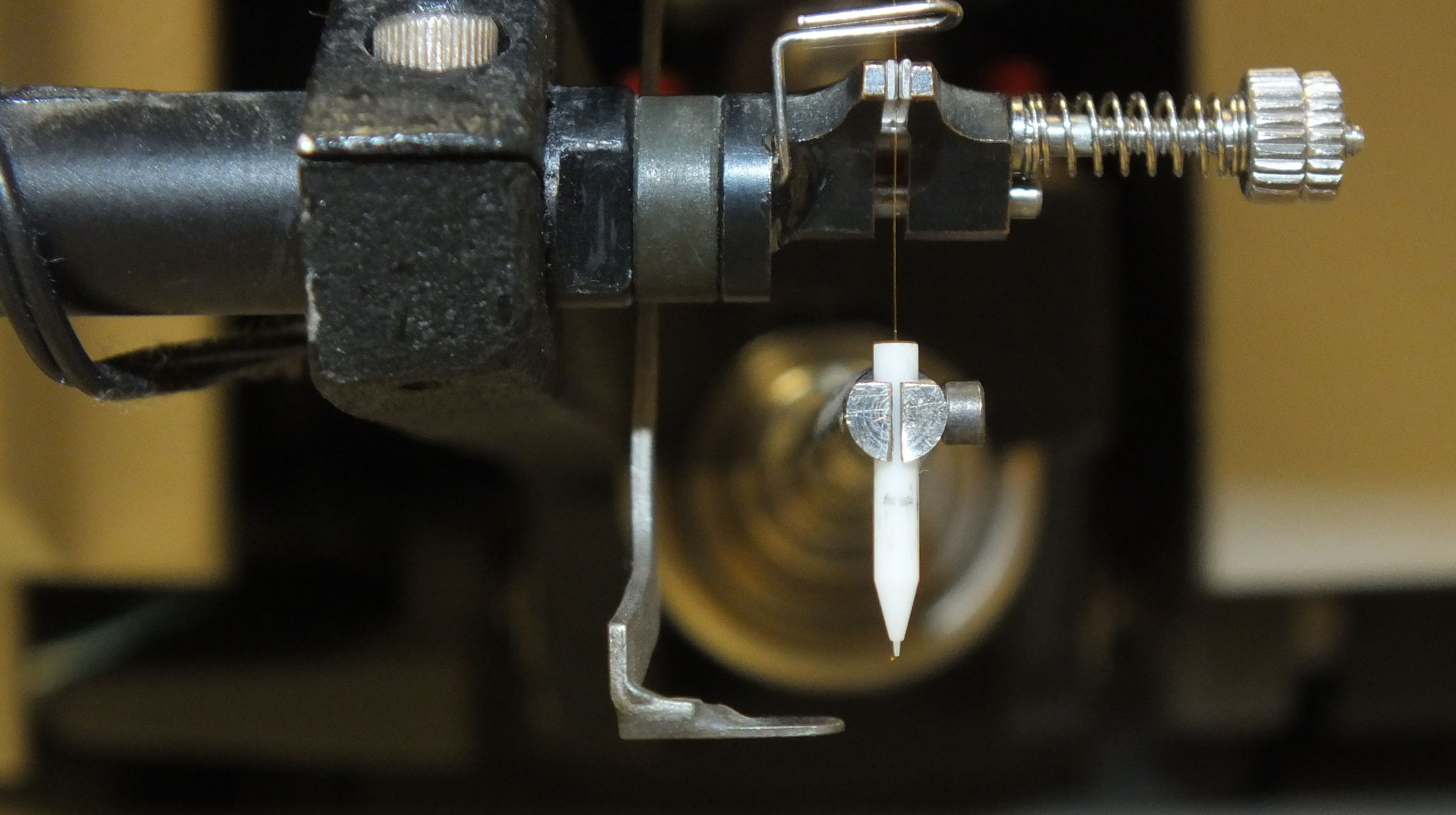 dscf9512_cropped.jpg dscf9512_cropped.jpg