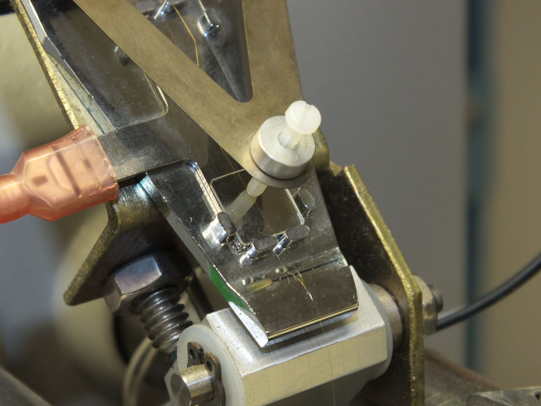 dscf9506_cropped.jpg dscf9506_cropped.jpg