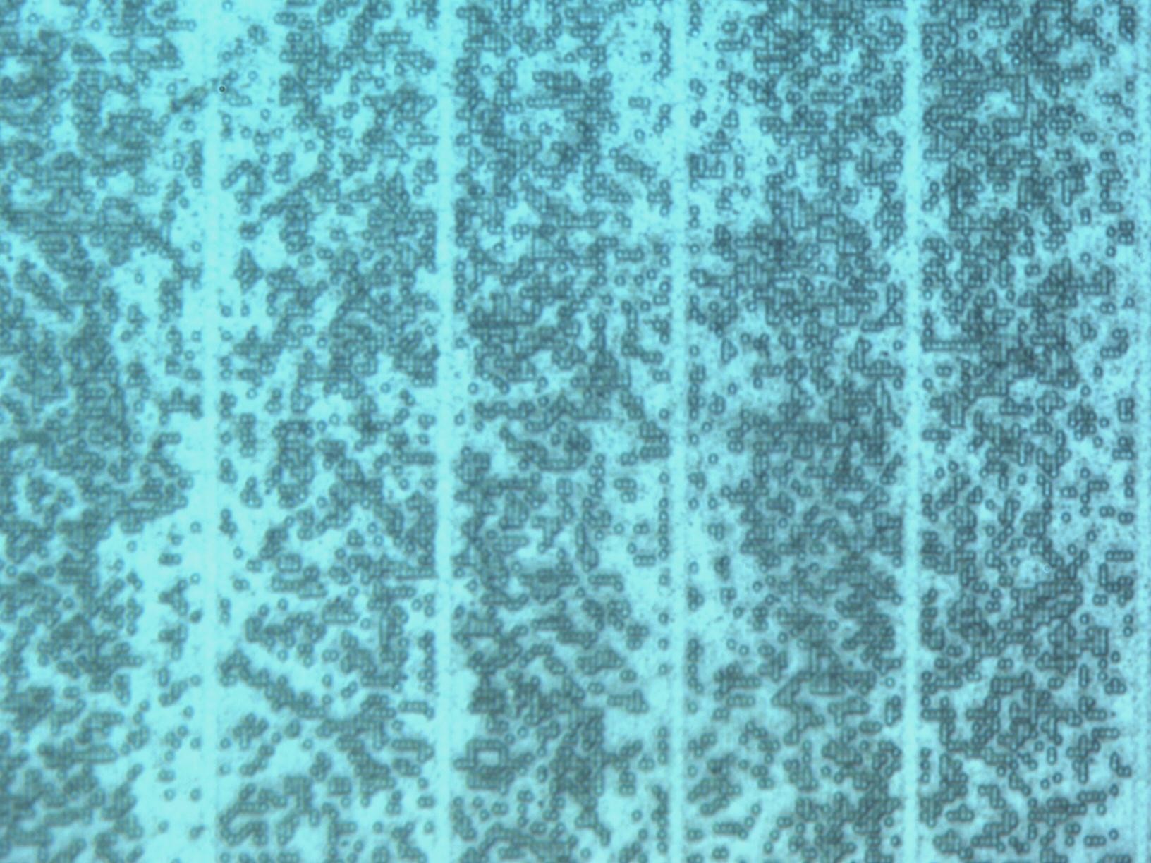 gpl168001a.jpg gpl168001a.jpg