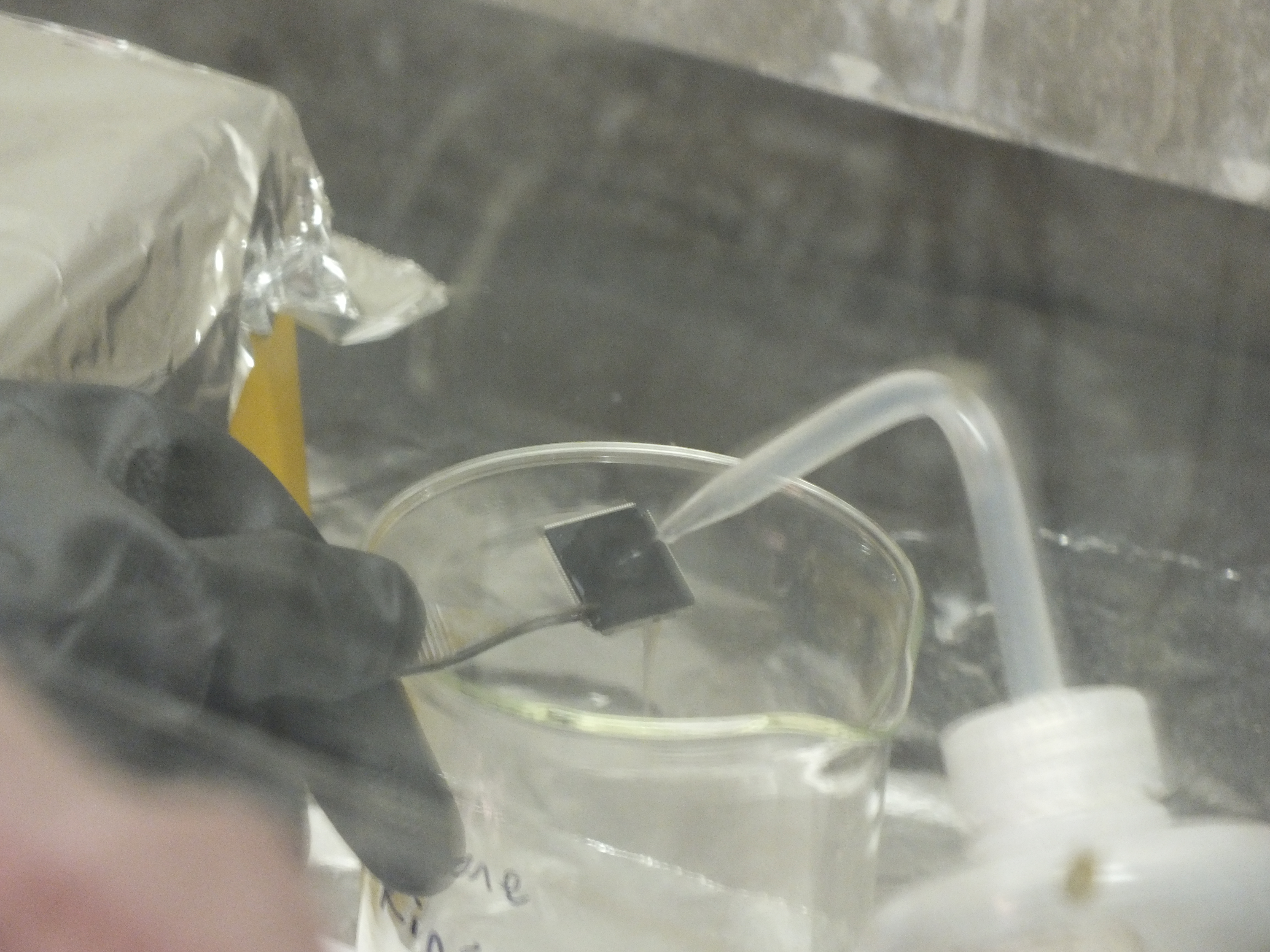 dscf4630.jpg dscf4630.jpg