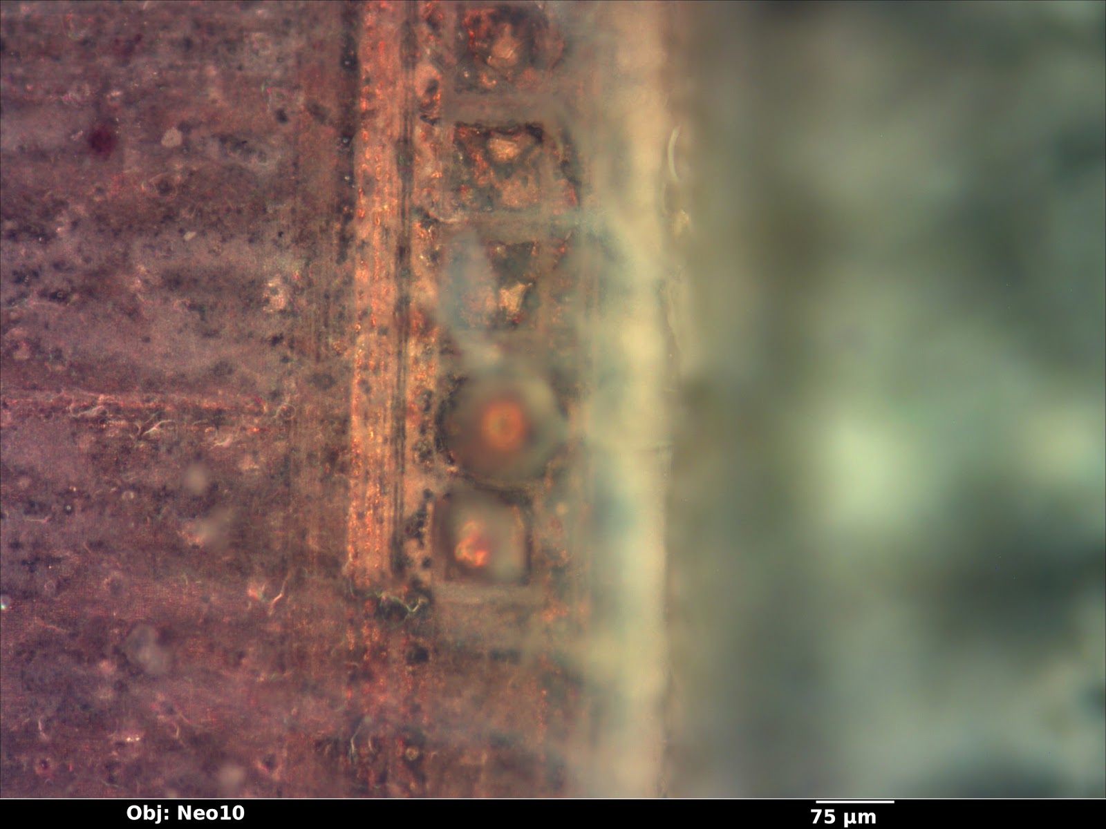 laser_08_df_neo10x_annotated.jpg laser_08_df_neo10x_annotated.jpg