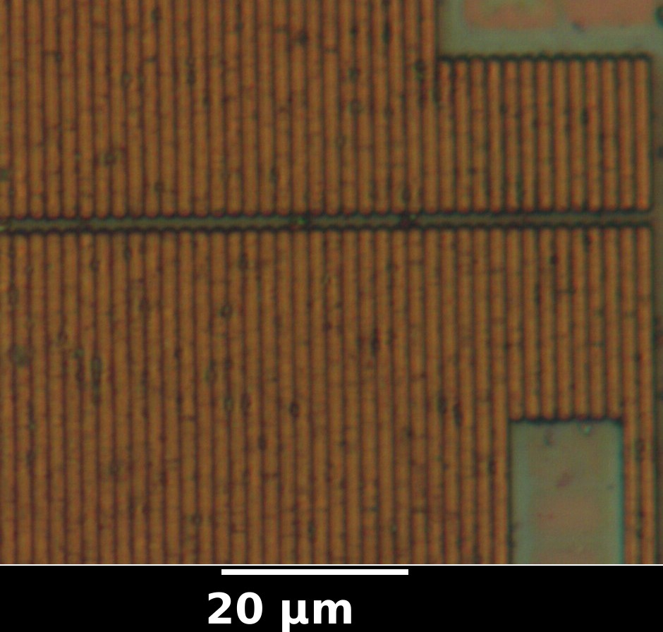 cmp_fill_01.jpg cmp_fill_01.jpg