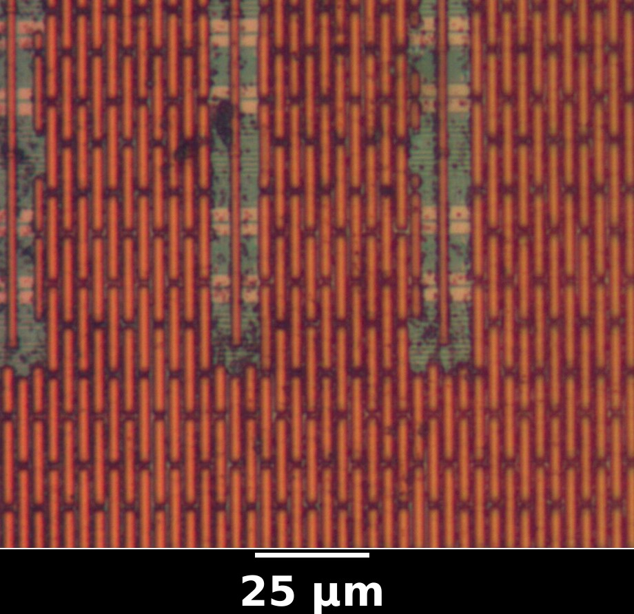 cmp_fill_02.jpg cmp_fill_02.jpg