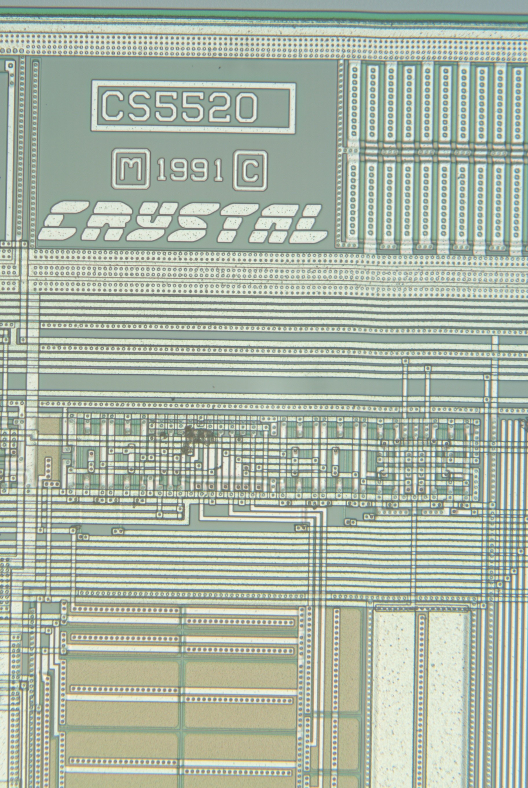00_20x.jpg 00_20x.jpg