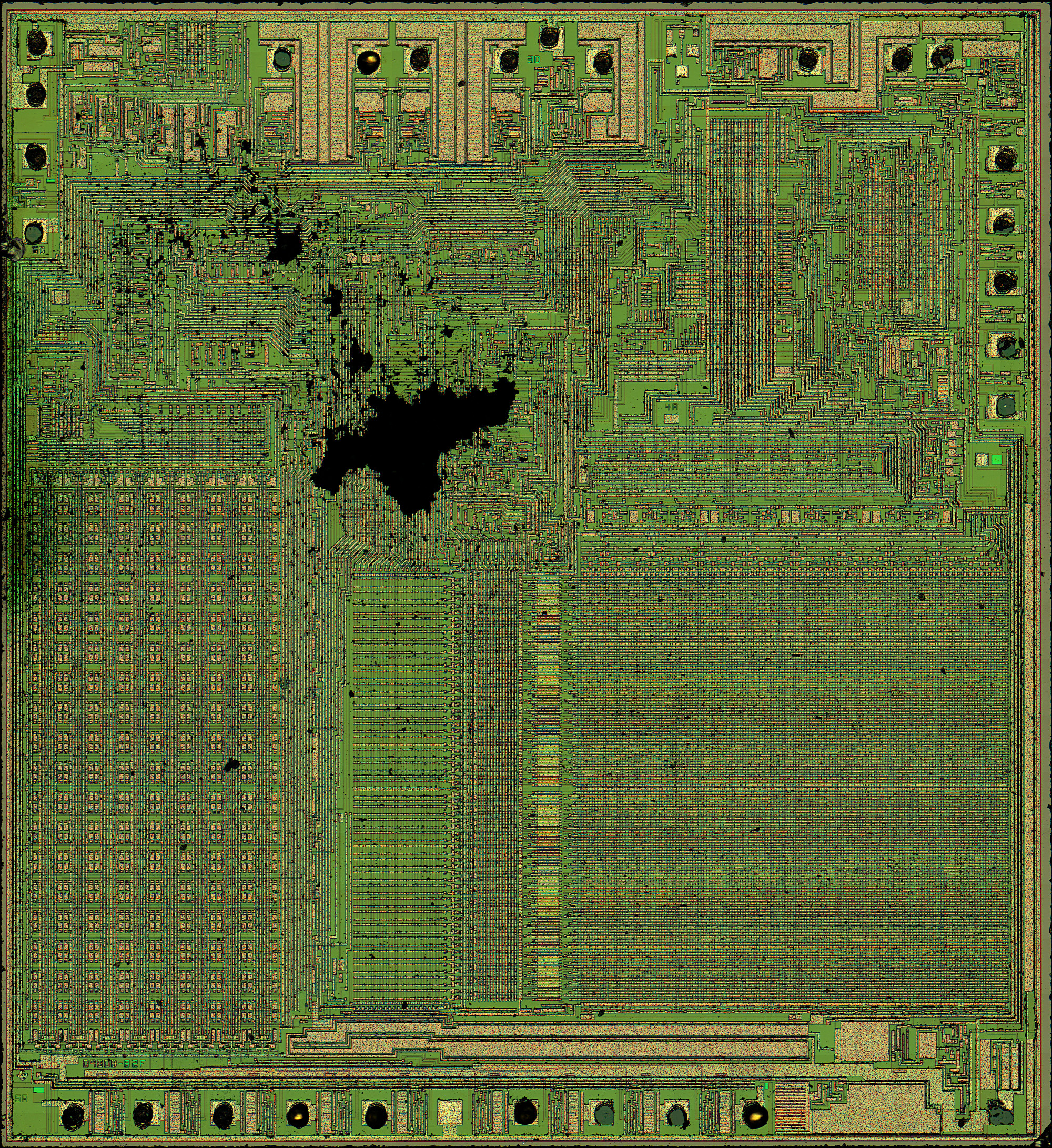 ti_tibai.jpg ti_tibai.jpg