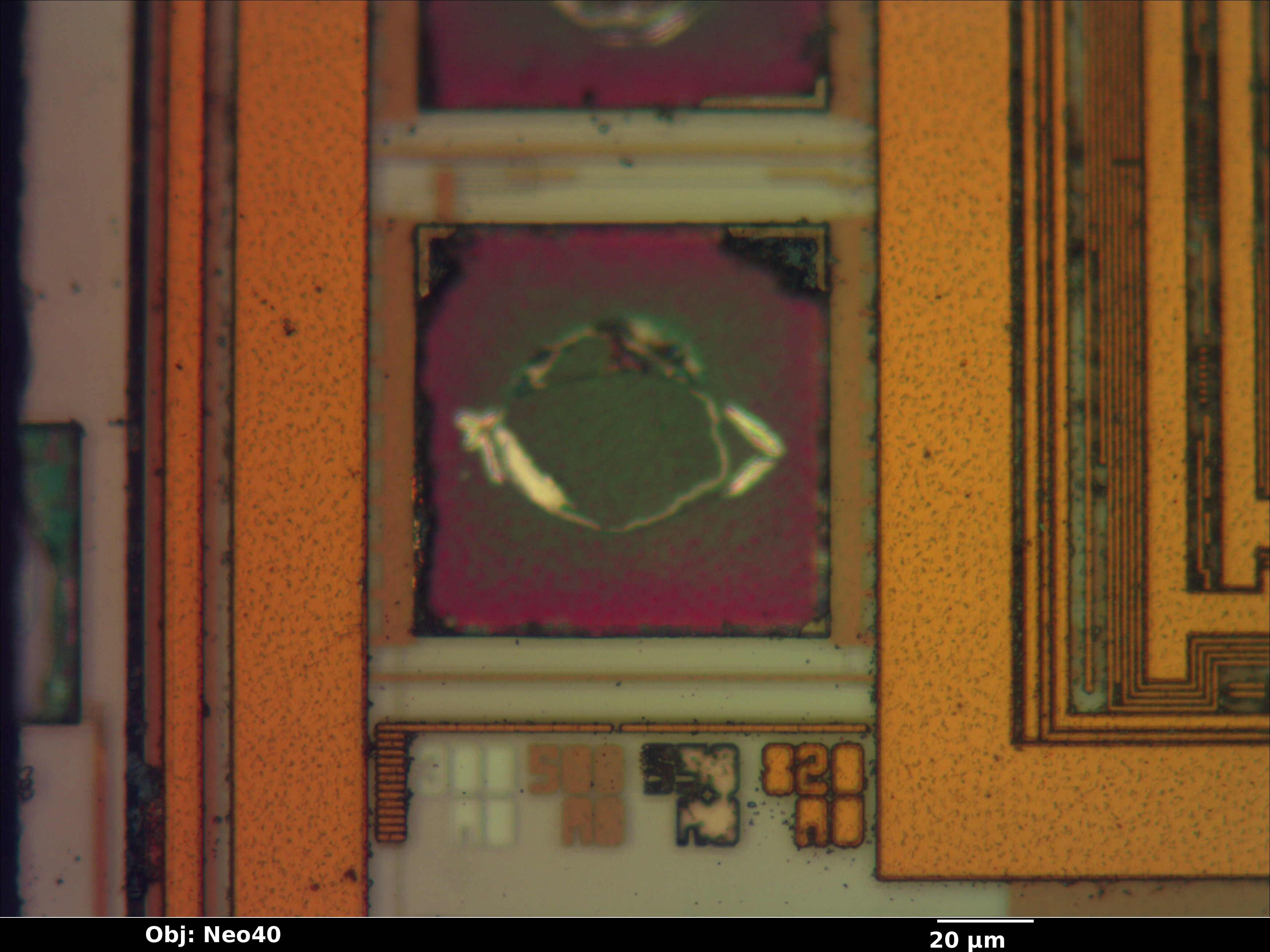 pic16f59_07_bf_neo40x_annotated.jpg pic16f59_07_bf_neo40x_annotated.jpg