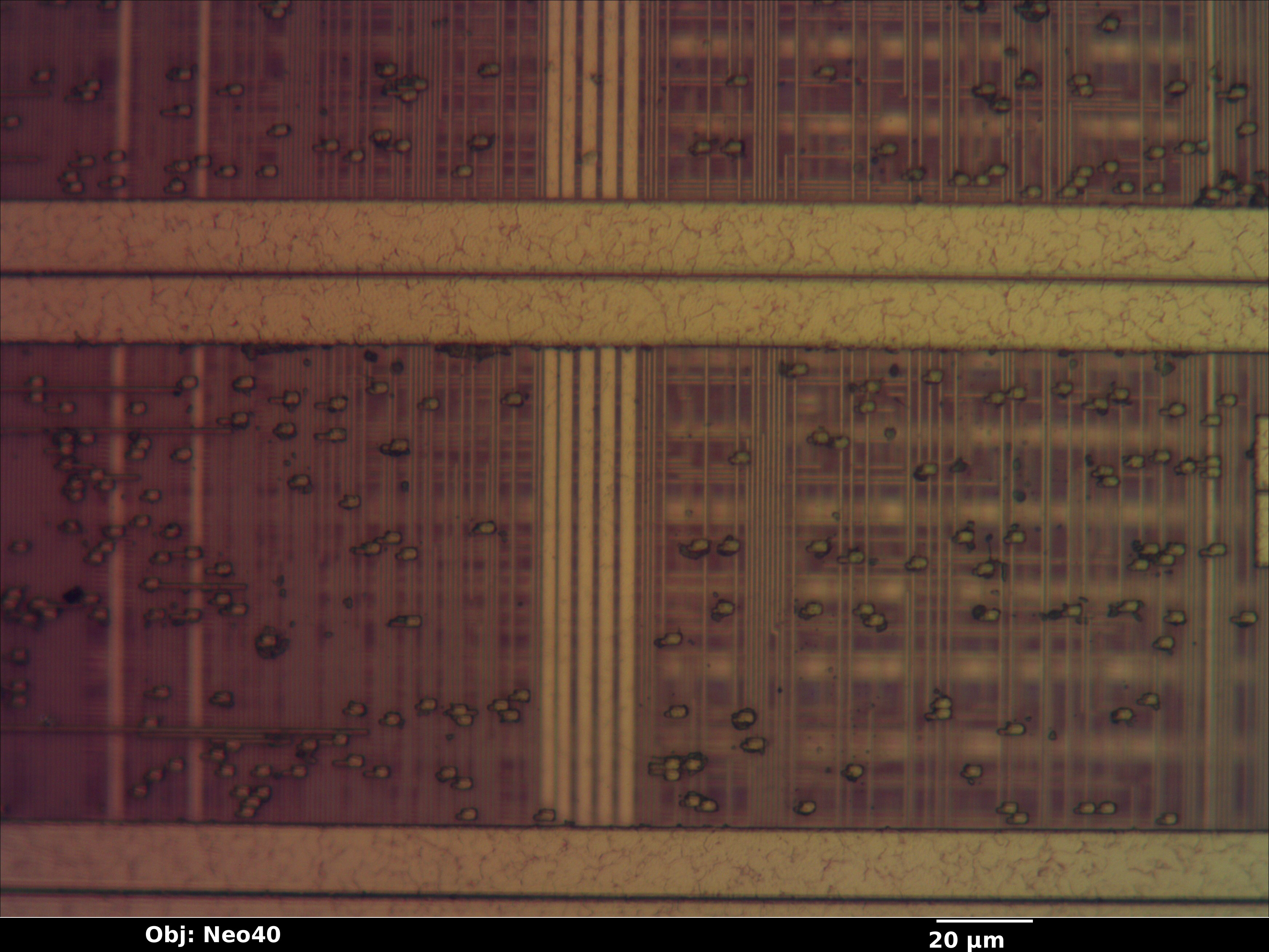 cyrix_mxi_132_08_bf_neo40x_annotated.jpg cyrix_mxi_132_08_bf_neo40x_annotated.jpg
