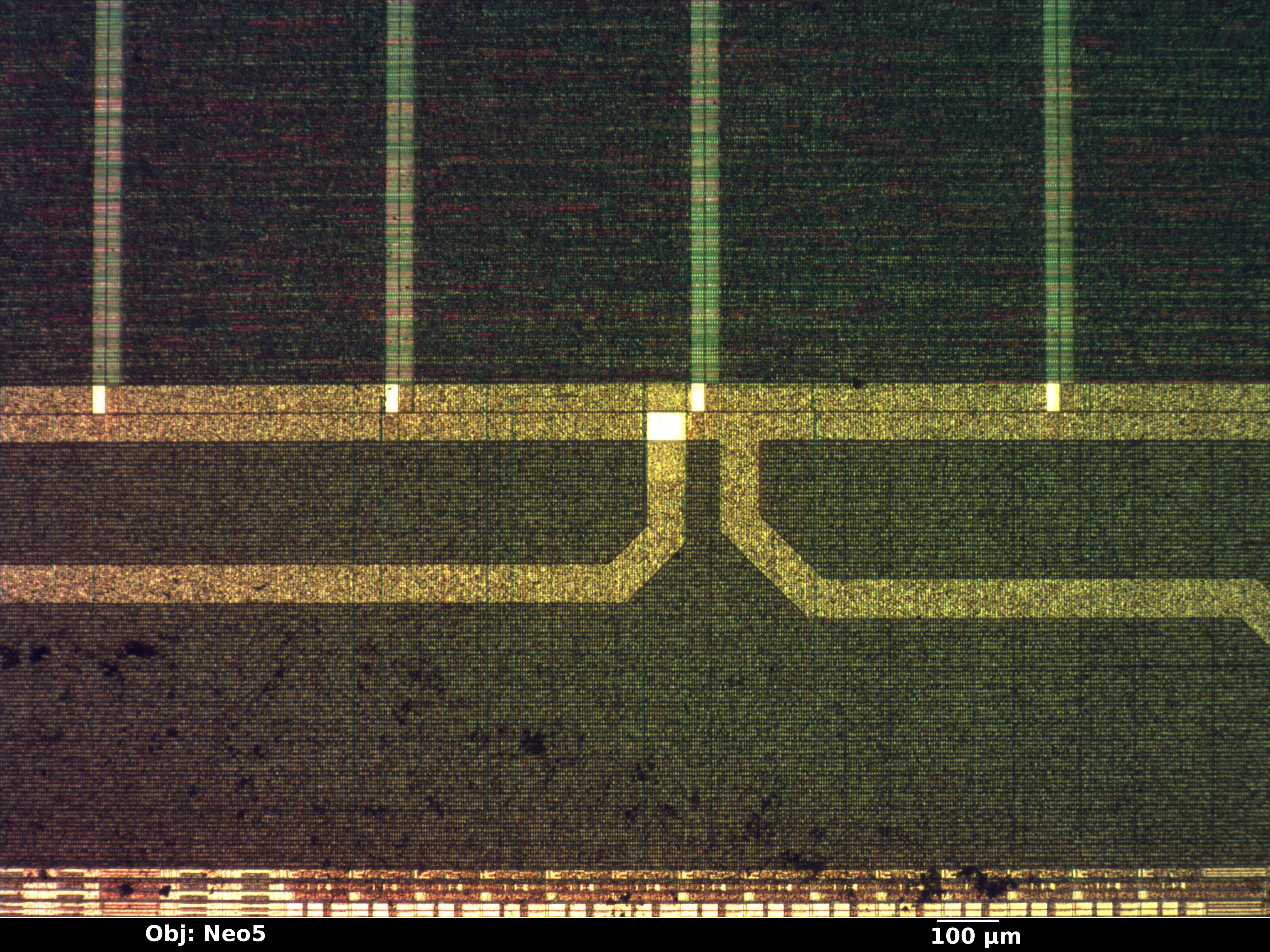 pdc20267_06_bf_neo5x_annotated.jpg pdc20267_06_bf_neo5x_annotated.jpg