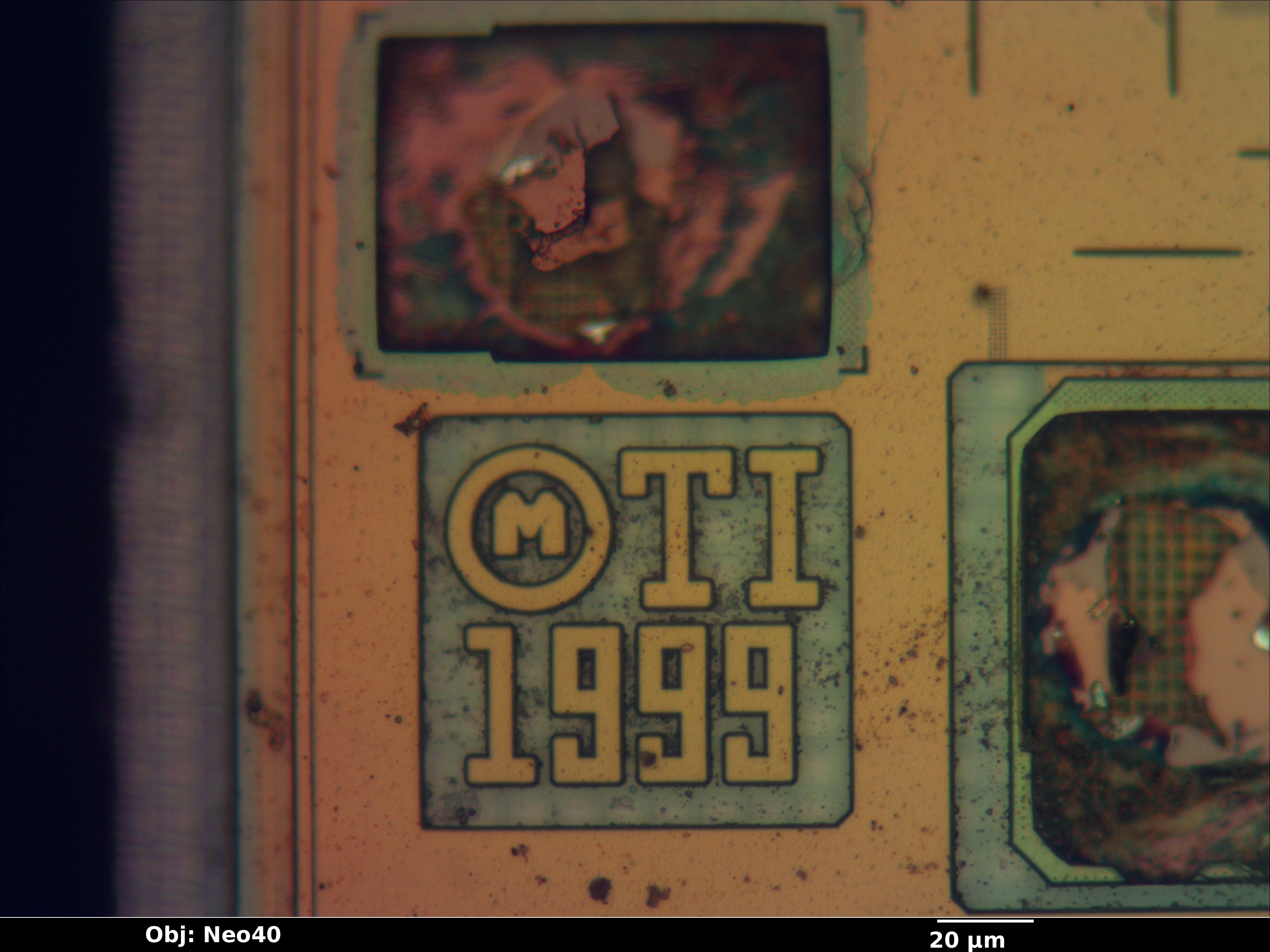 tsb41_12_bf_neo40x_annotated.jpg tsb41_12_bf_neo40x_annotated.jpg