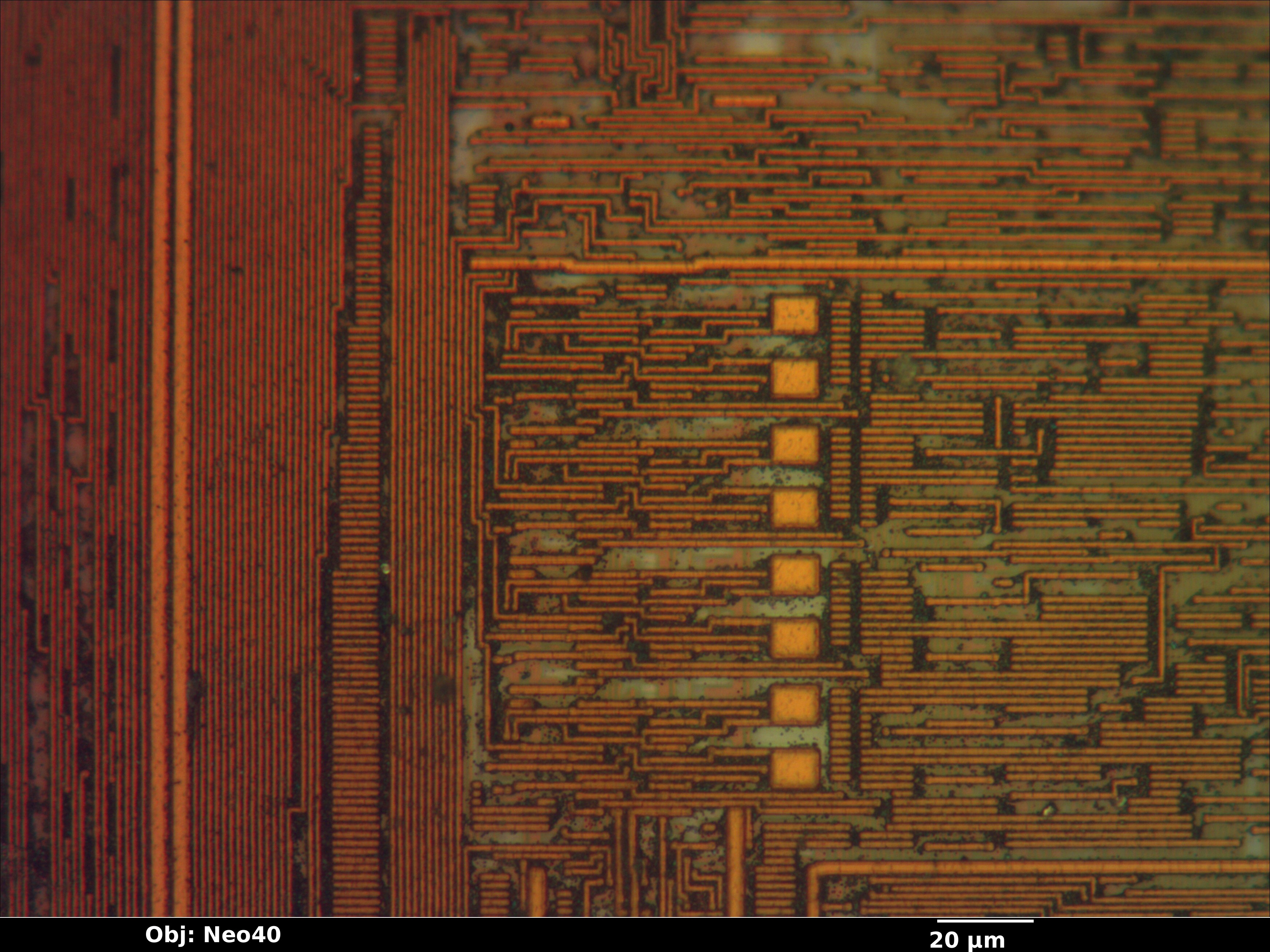 pic16f59_10_bf_neo40x_annotated.jpg pic16f59_10_bf_neo40x_annotated.jpg