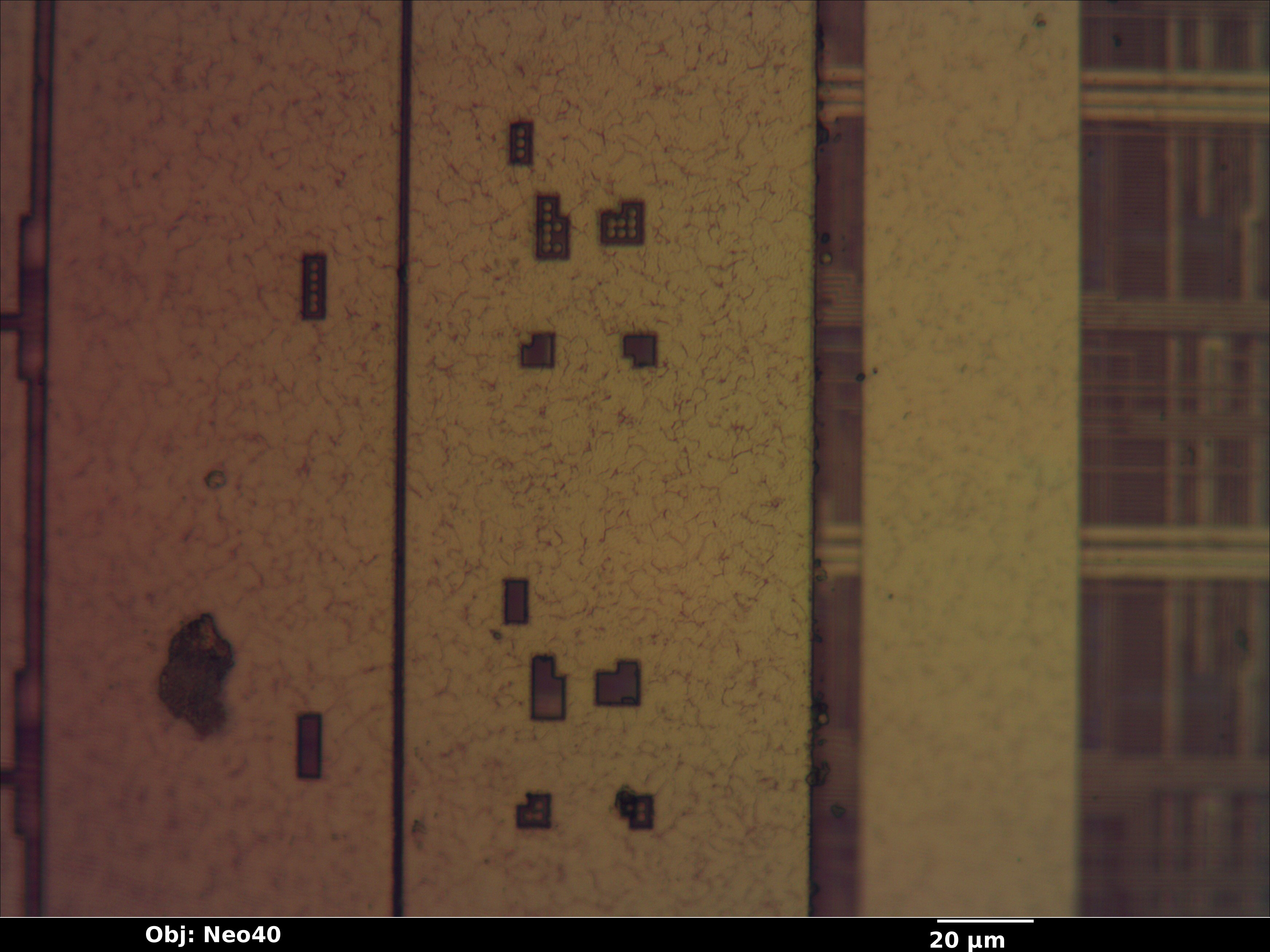 cyrix_mxi_132_06_bf_neo40x_annotated.jpg cyrix_mxi_132_06_bf_neo40x_annotated.jpg