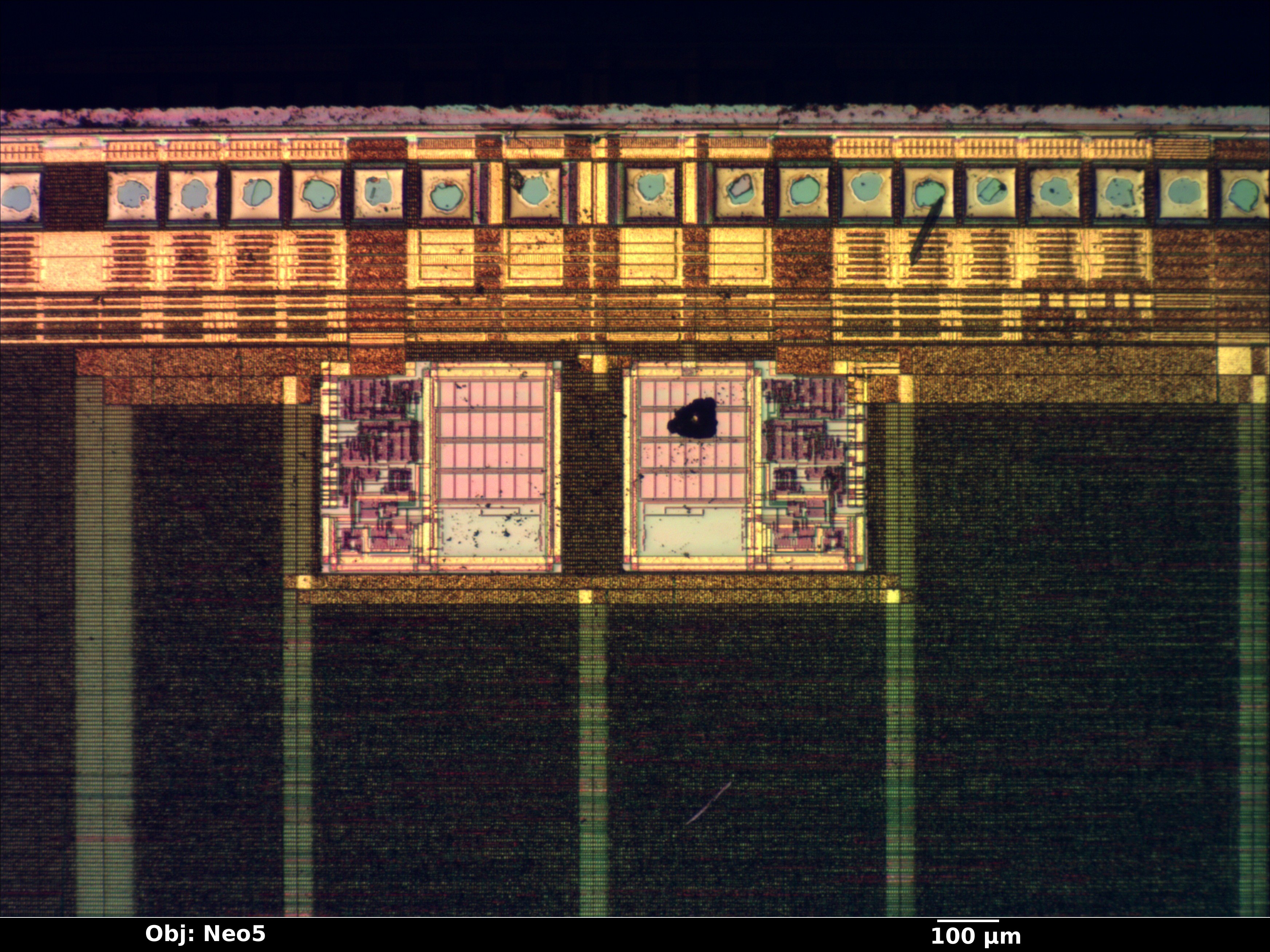 pdc20267_05_bf_neo5x_annotated.jpg pdc20267_05_bf_neo5x_annotated.jpg