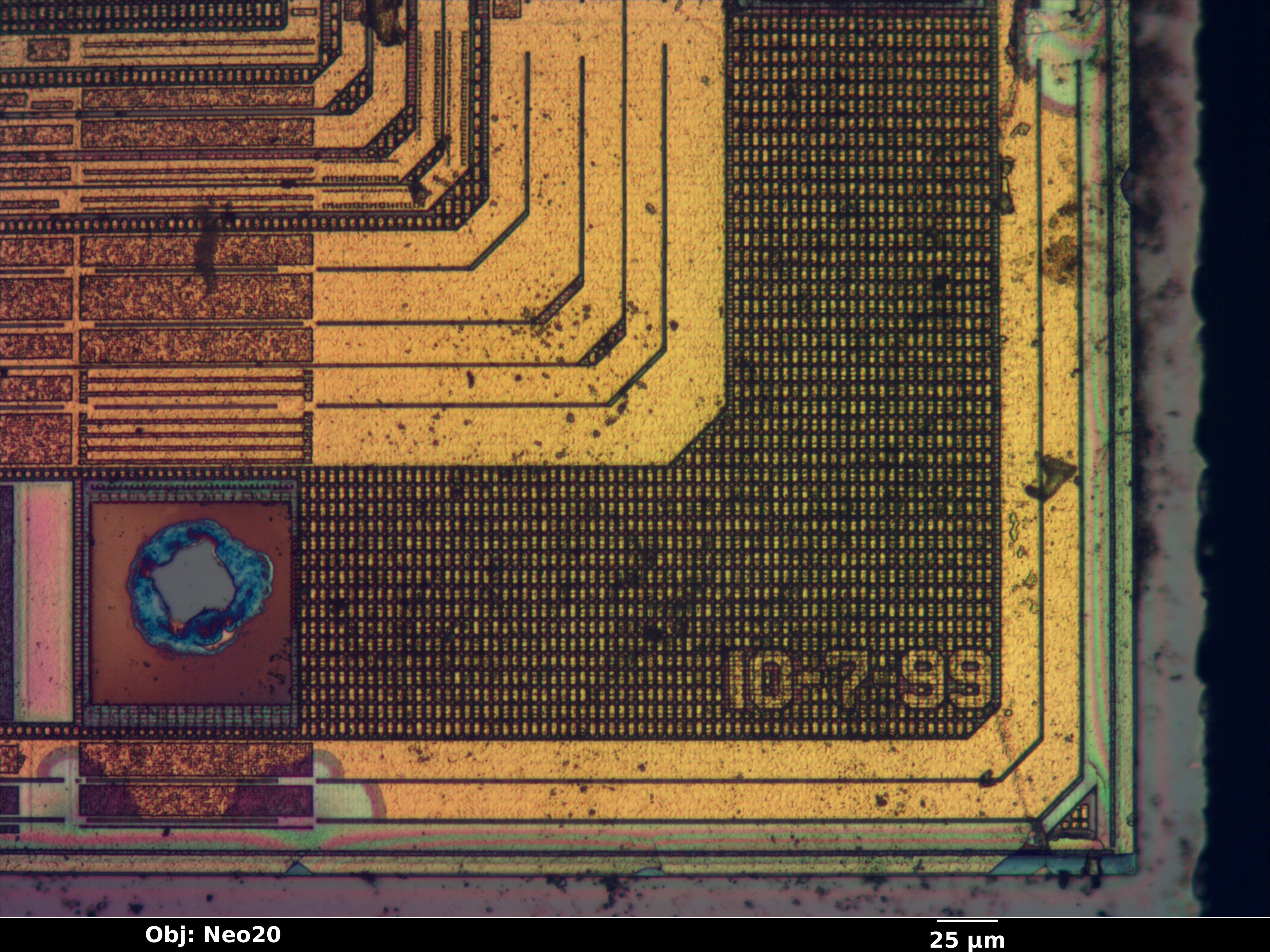 pdc20267_01_bf_neo20x_annotated.jpg pdc20267_01_bf_neo20x_annotated.jpg