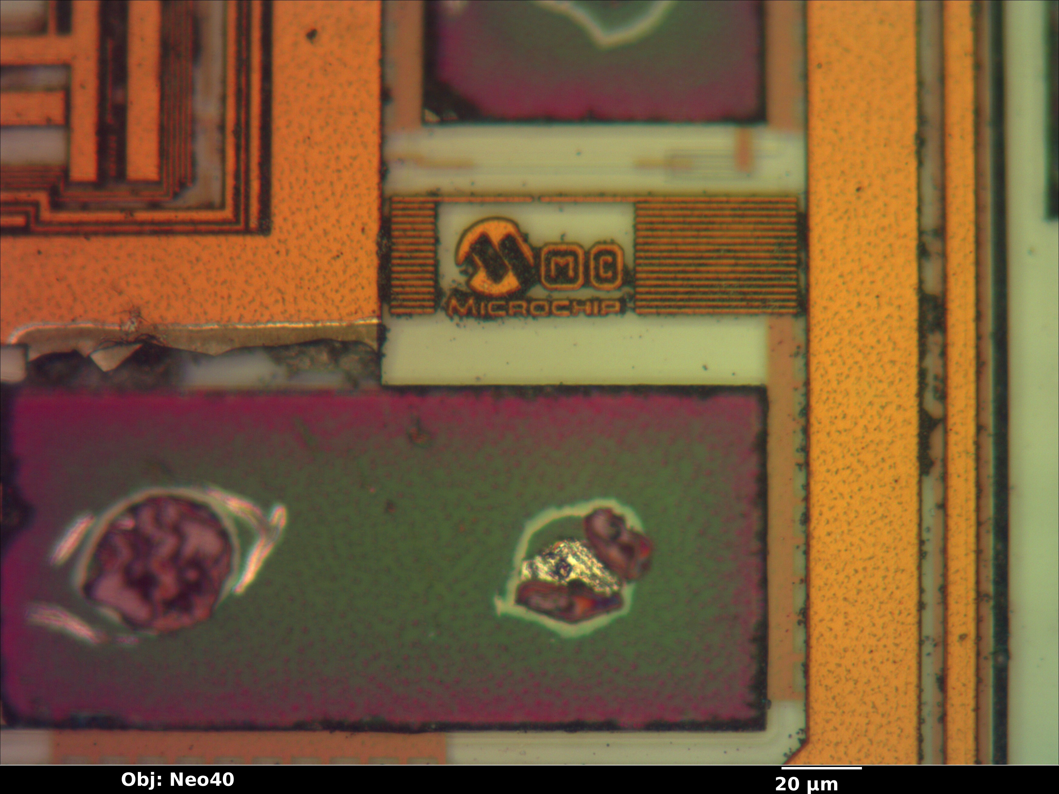 pic16f59_05_bf_neo40x_annotated.jpg pic16f59_05_bf_neo40x_annotated.jpg
