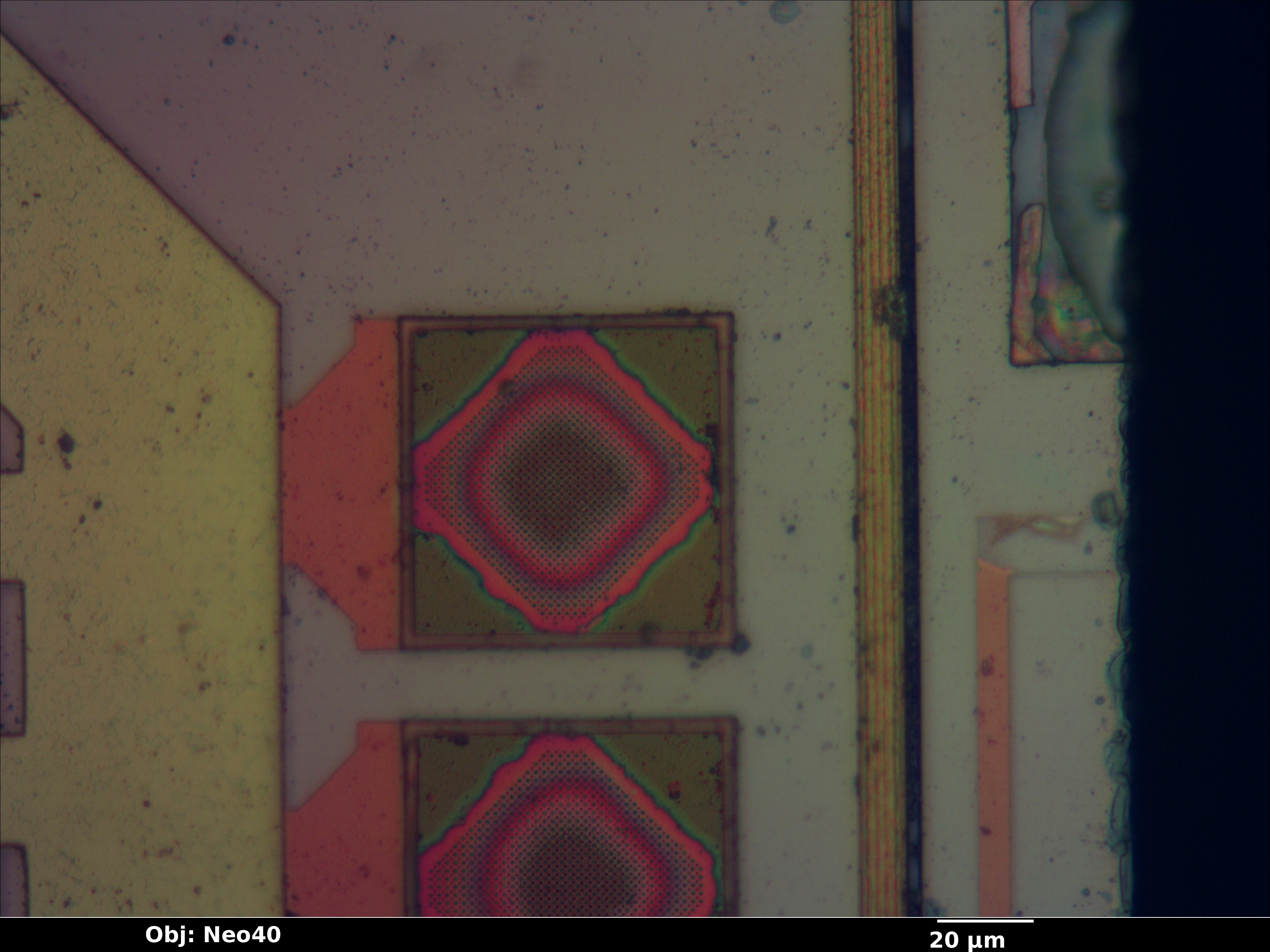 lne100tx_04_bf_neo40x_annotated.jpg lne100tx_04_bf_neo40x_annotated.jpg