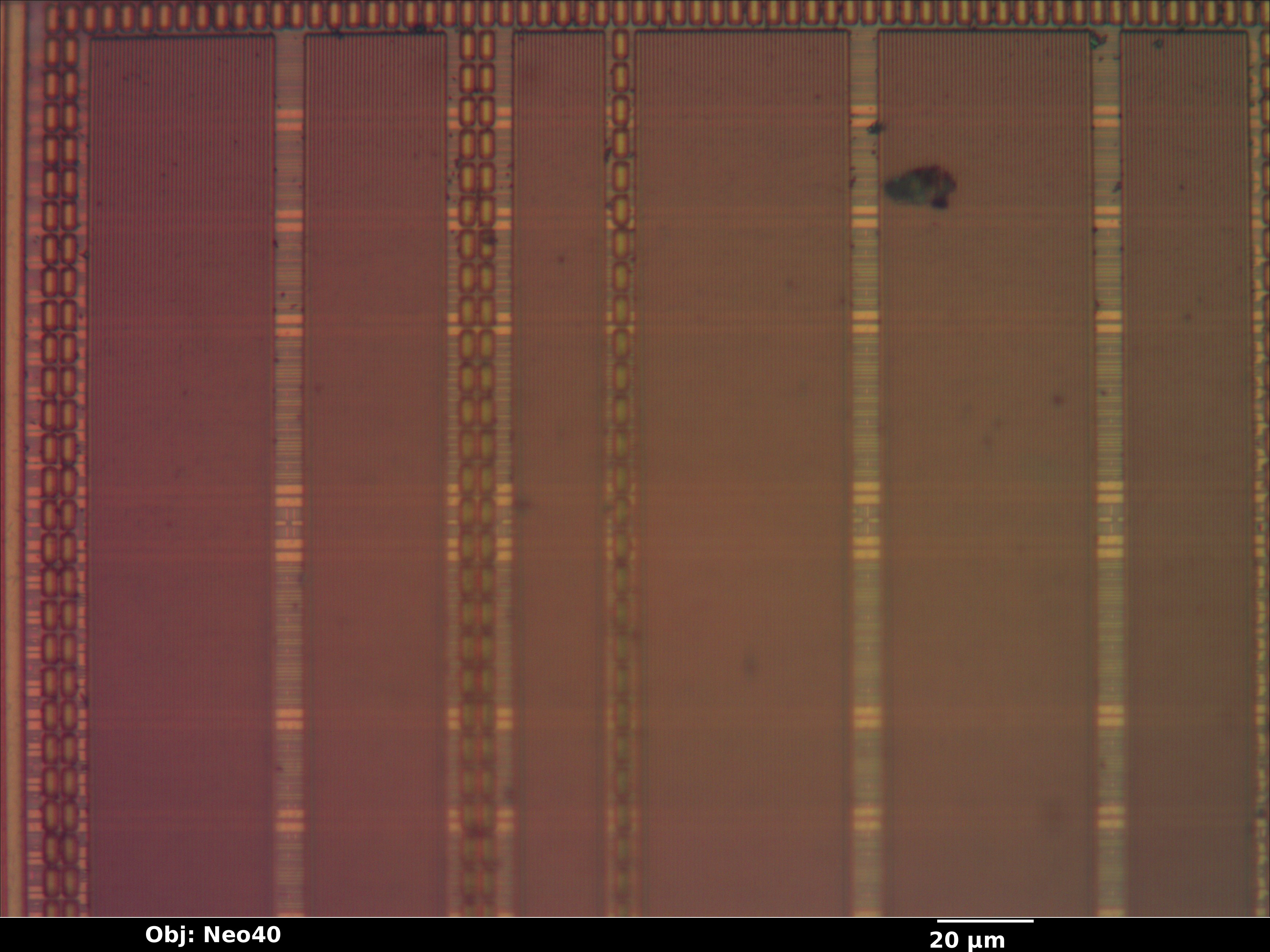 xc2c128_09_bf_neo40x_annotated.jpg xc2c128_09_bf_neo40x_annotated.jpg