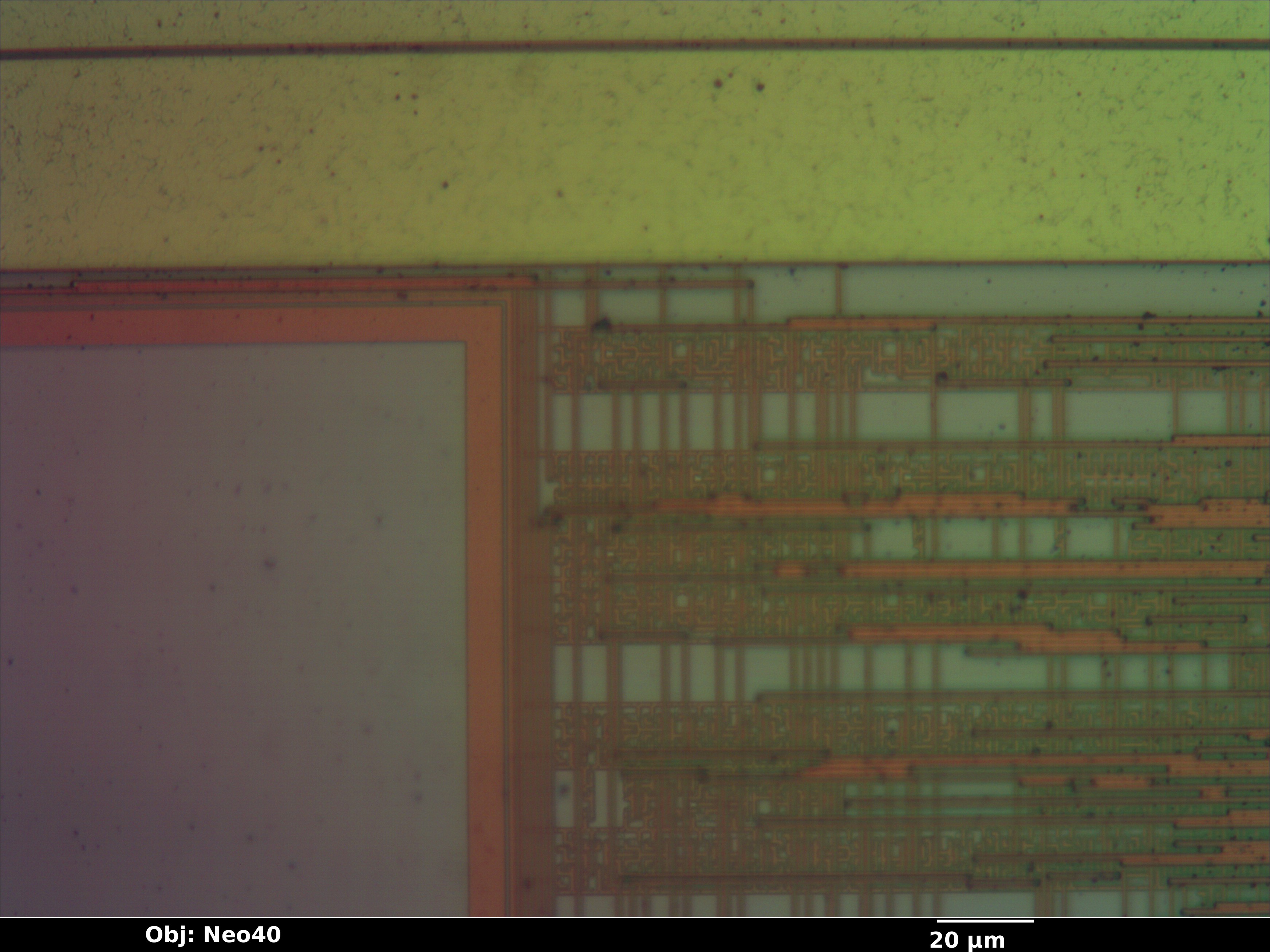 lne100tx_08_bf_neo40x_annotated.jpg lne100tx_08_bf_neo40x_annotated.jpg