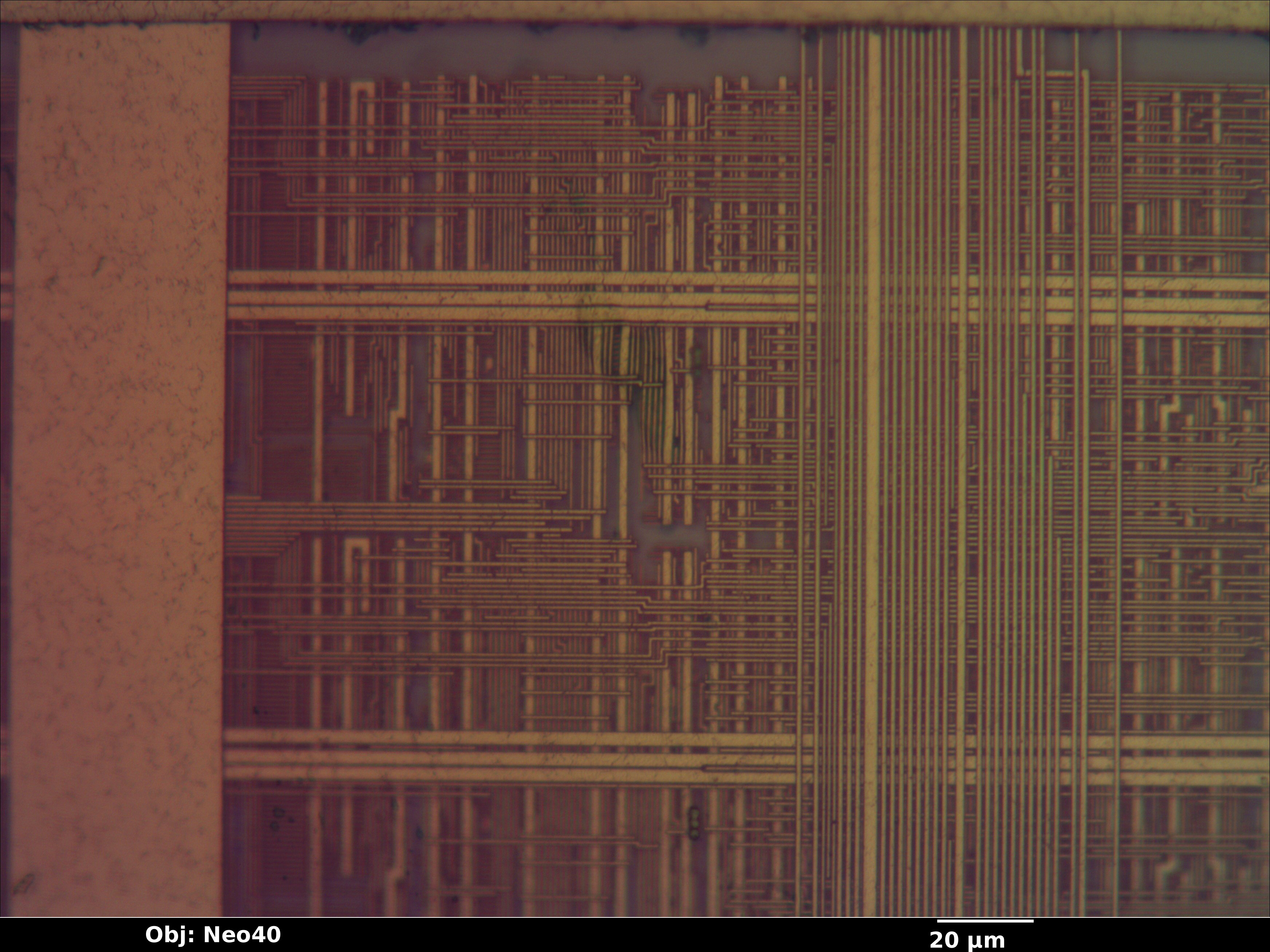 cyrix_mxi_132_07_bf_neo40x_annotated.jpg cyrix_mxi_132_07_bf_neo40x_annotated.jpg