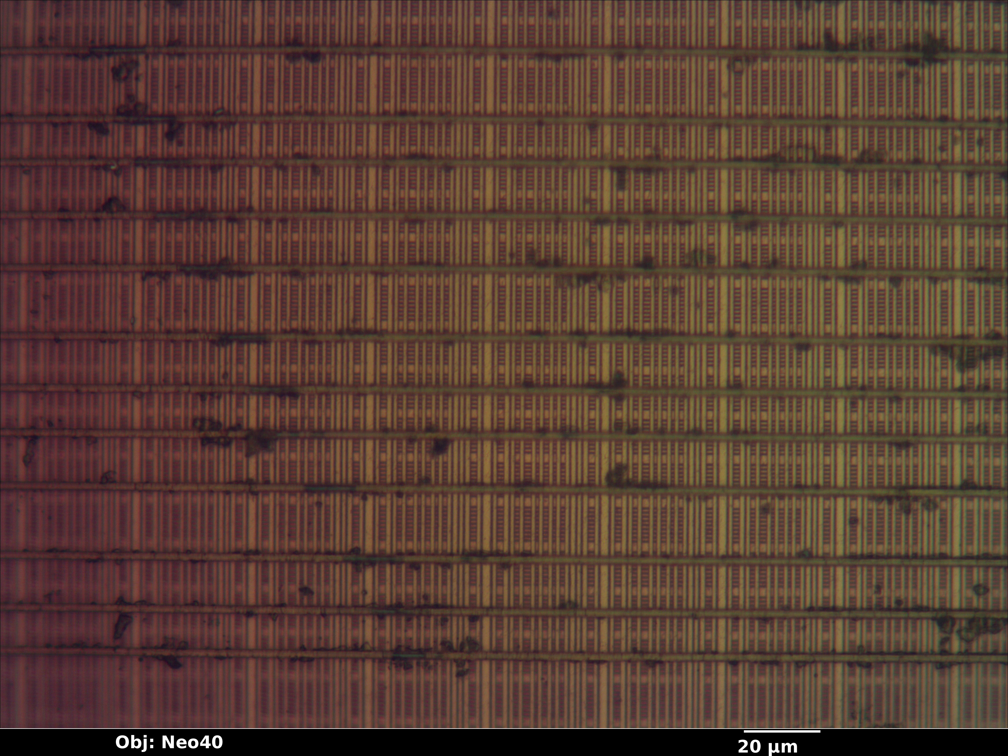 cyrix_mxi_132_10_bf_neo40x_annotated.jpg cyrix_mxi_132_10_bf_neo40x_annotated.jpg