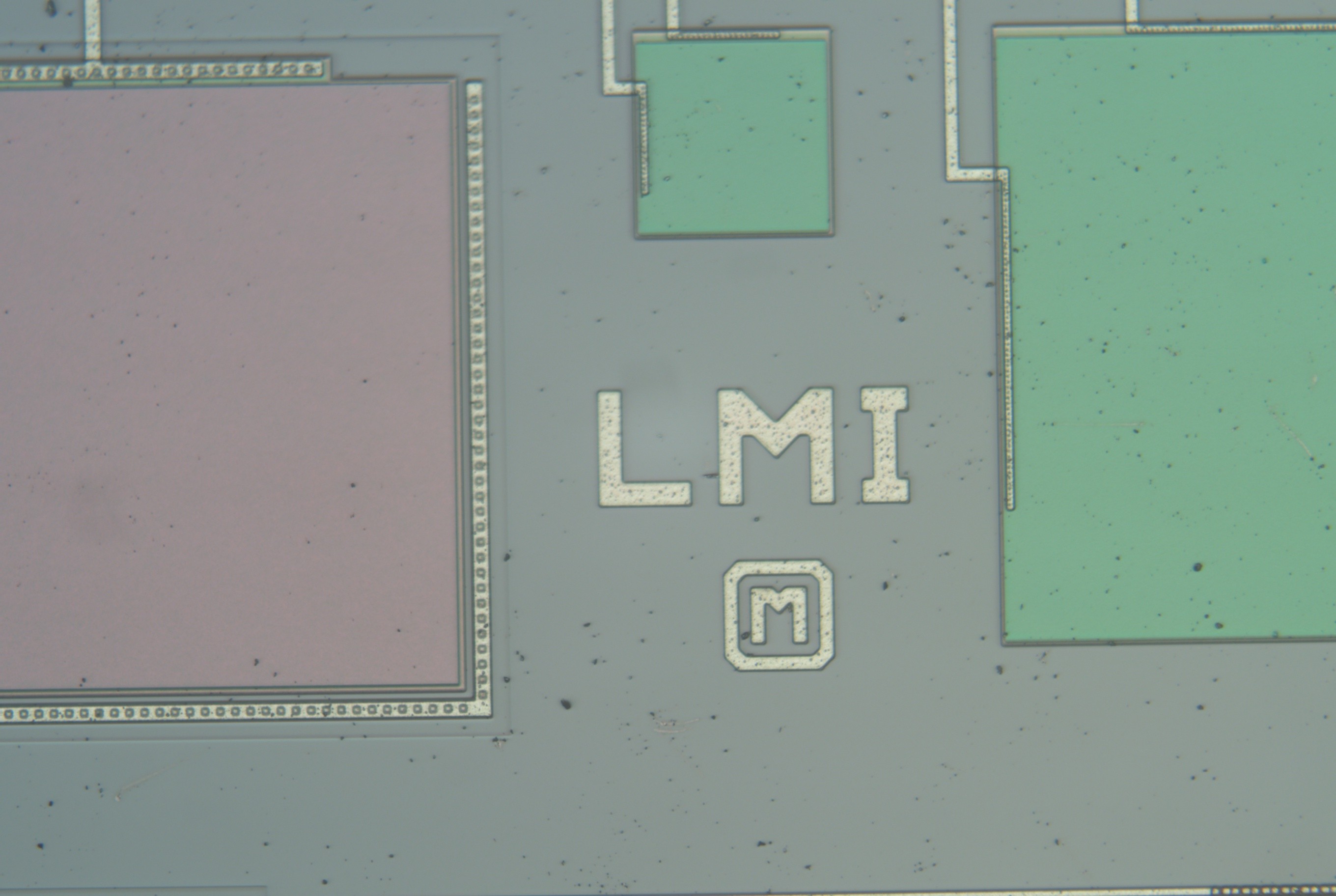 48_20x.jpg 48_20x.jpg