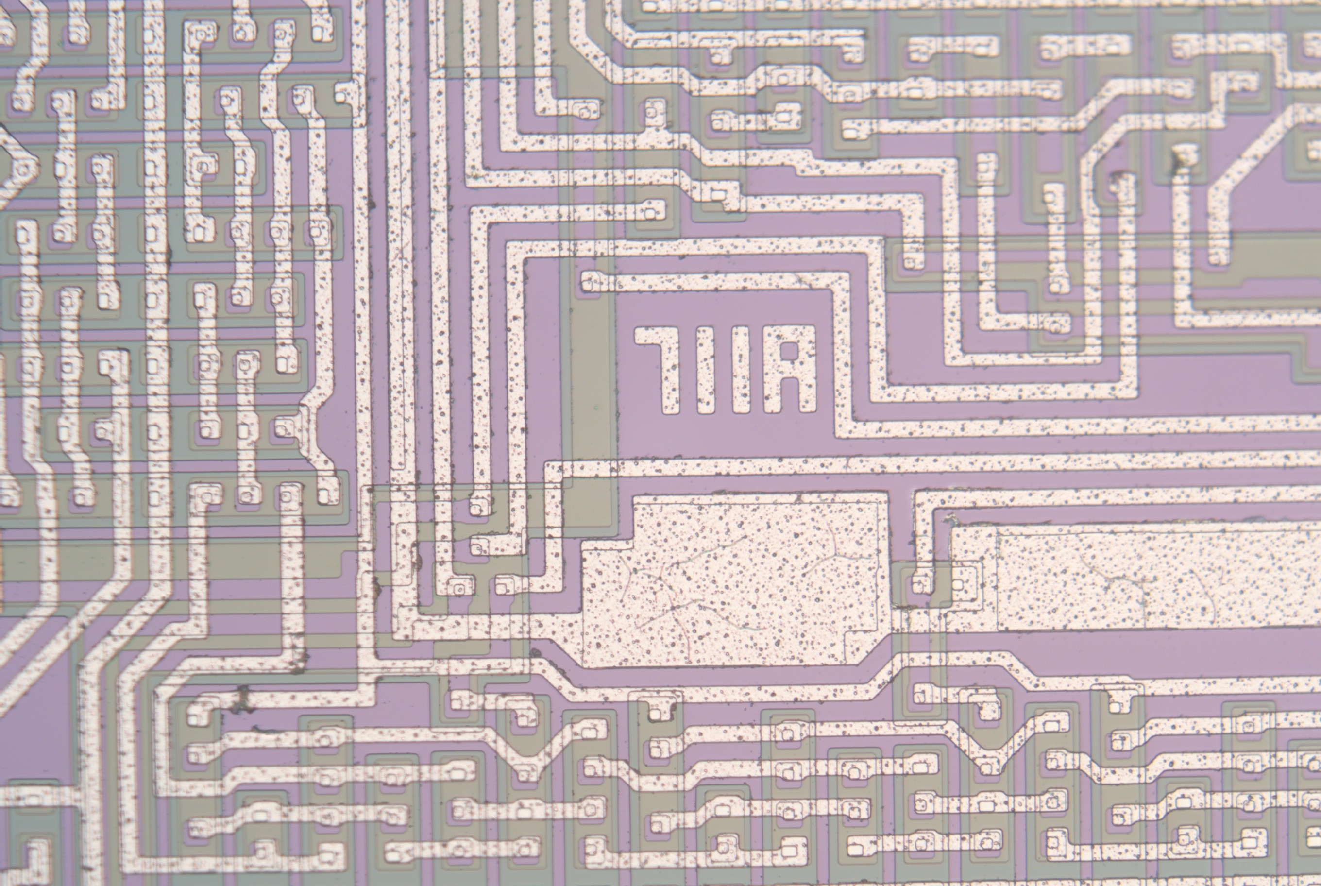 logo_mit20x.jpg logo_mit20x.jpg