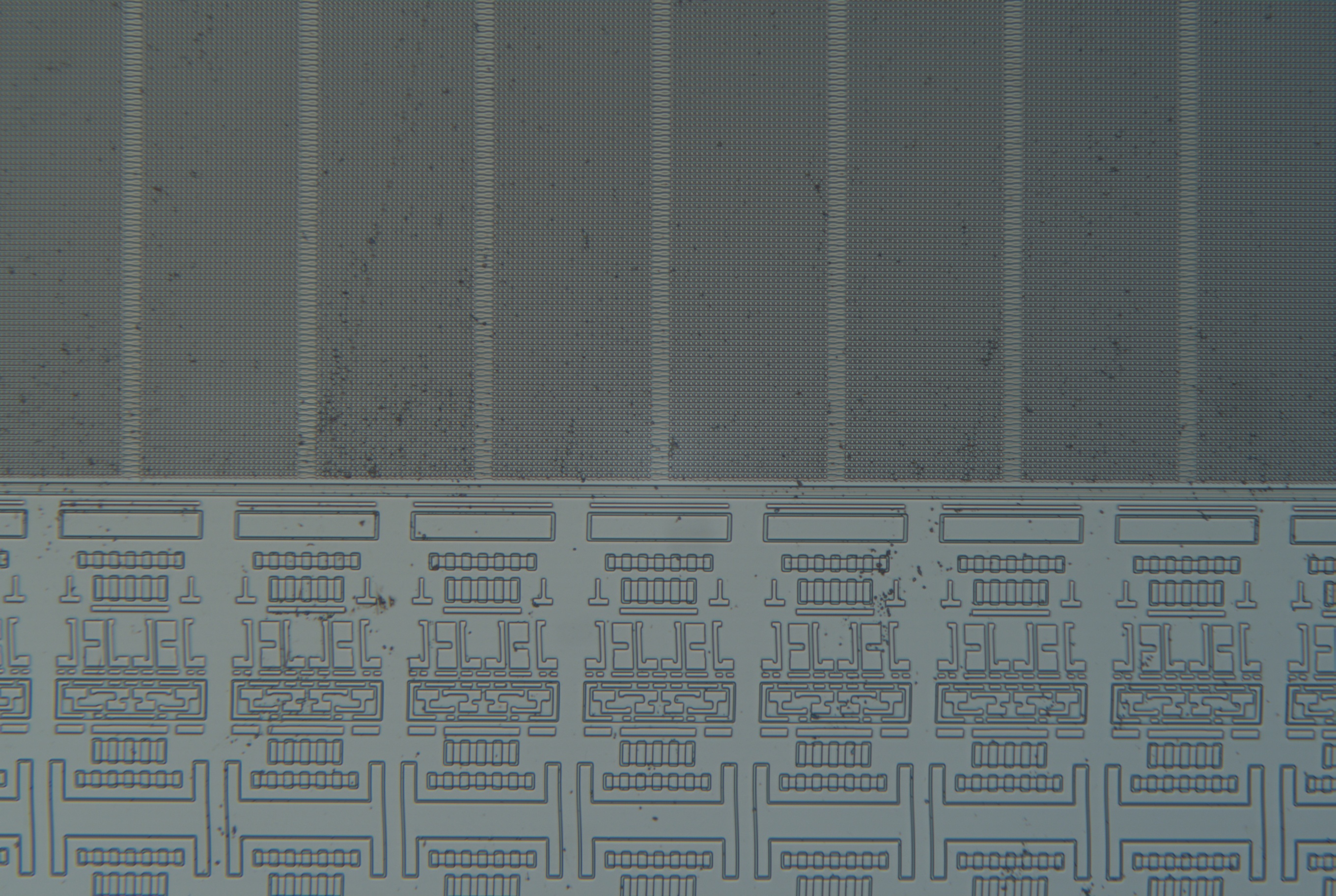 48_20x.jpg 48_20x.jpg