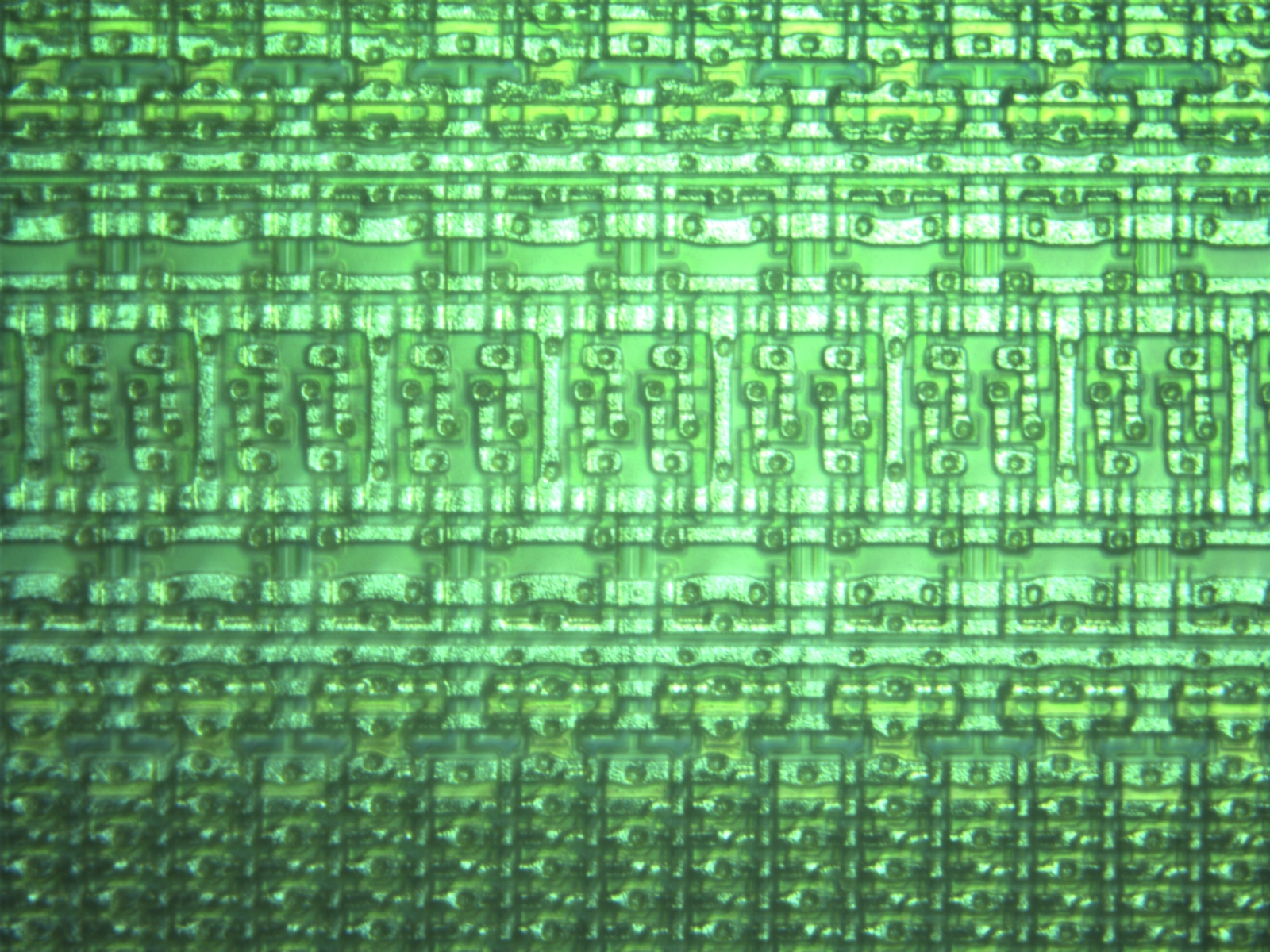 m5-40x-01.jpg m5-40x-01.jpg