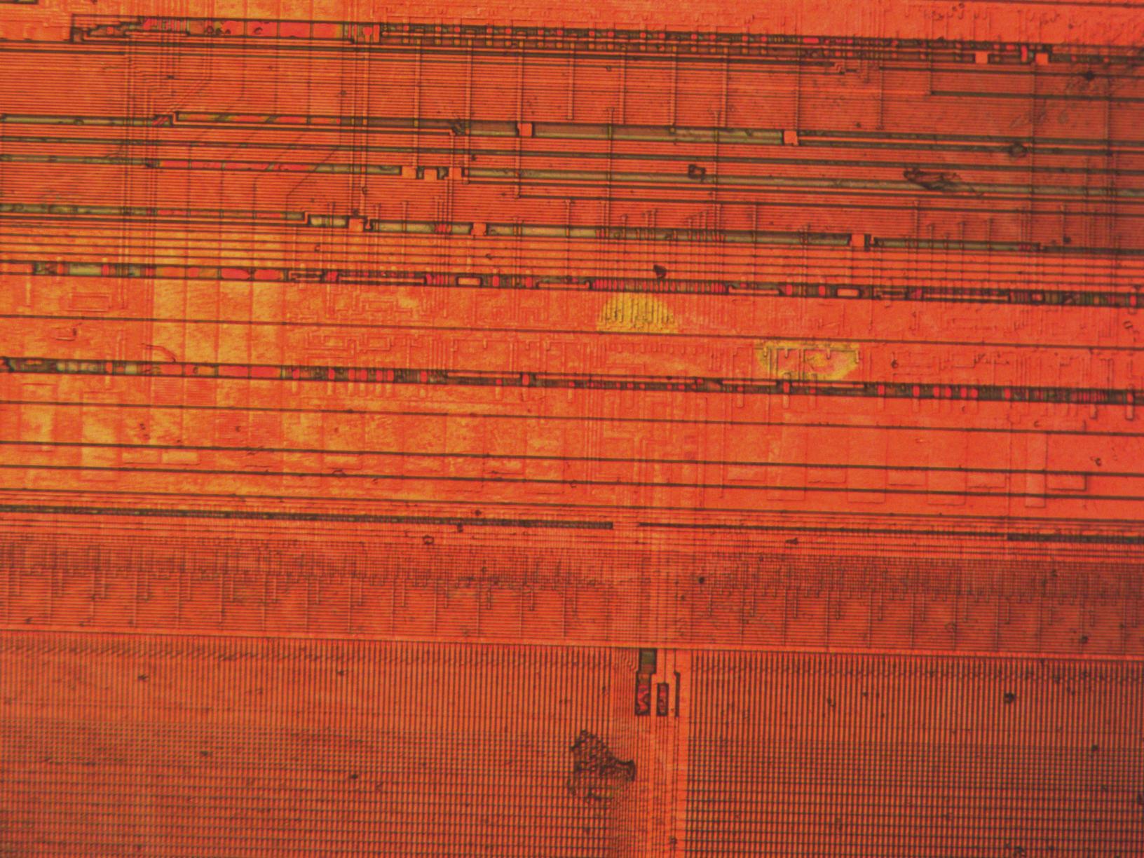 sample_mit20x.jpg sample_mit20x.jpg