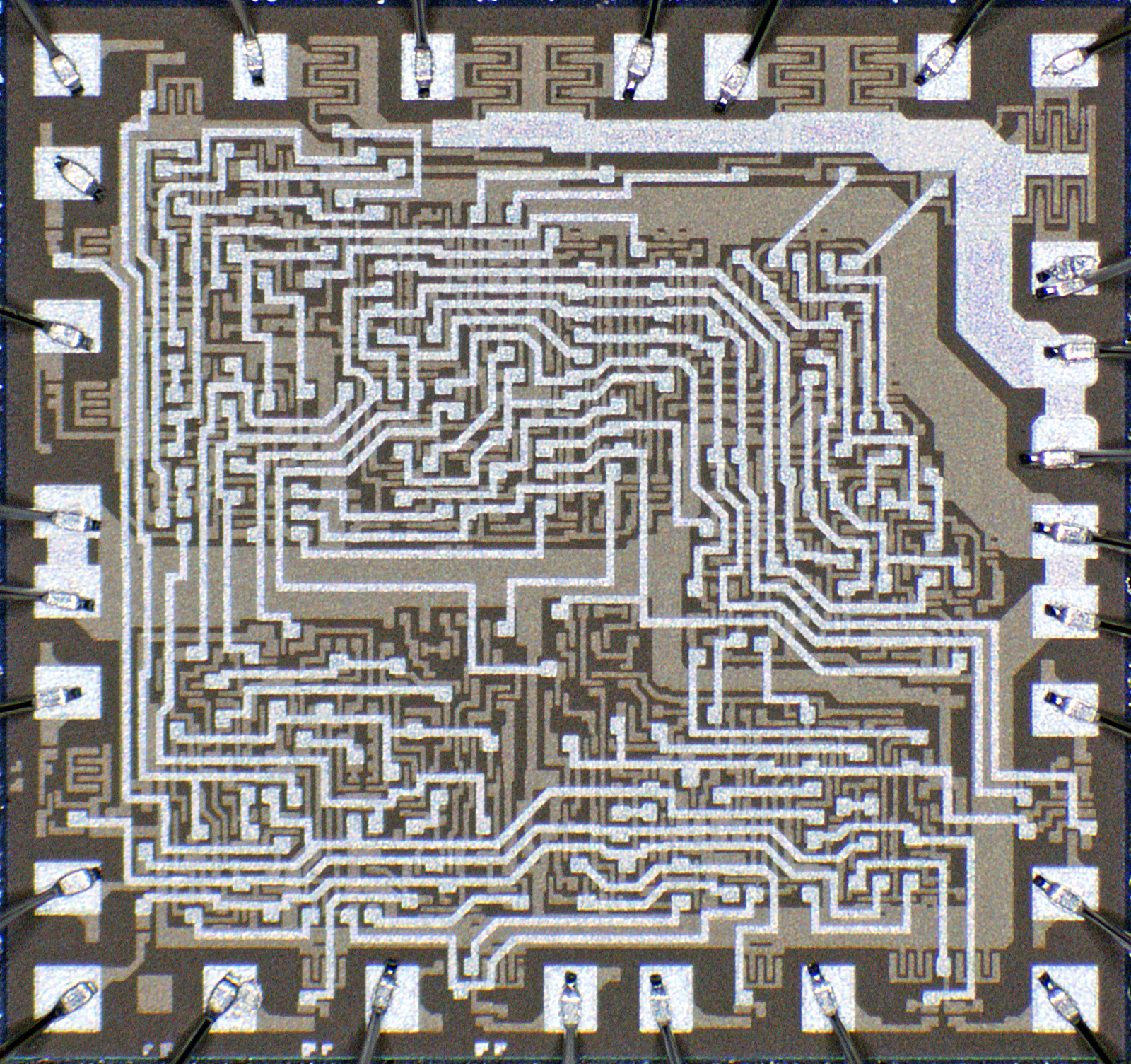 ASCII ASCII