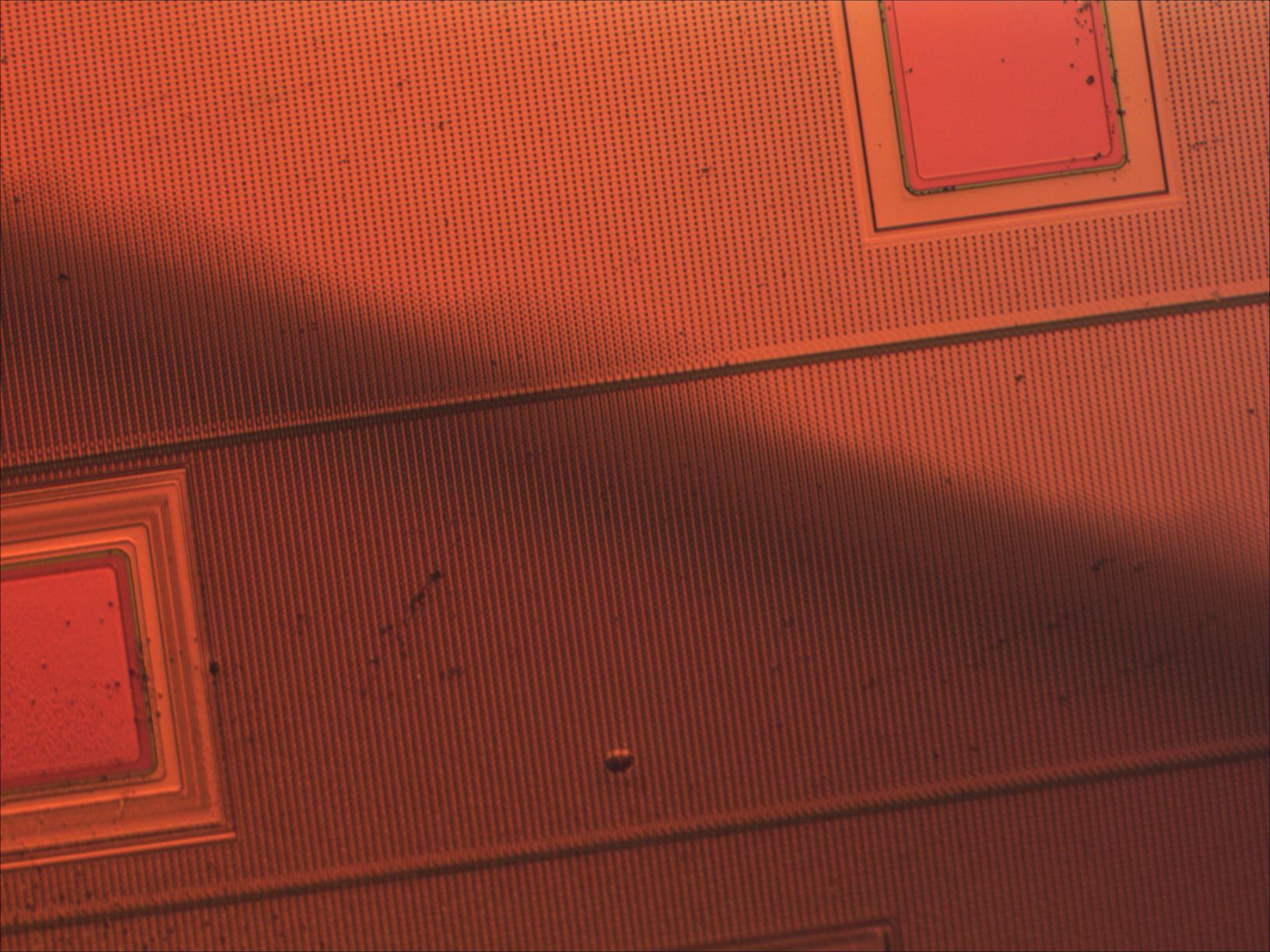 die_edge_mit20x.jpg