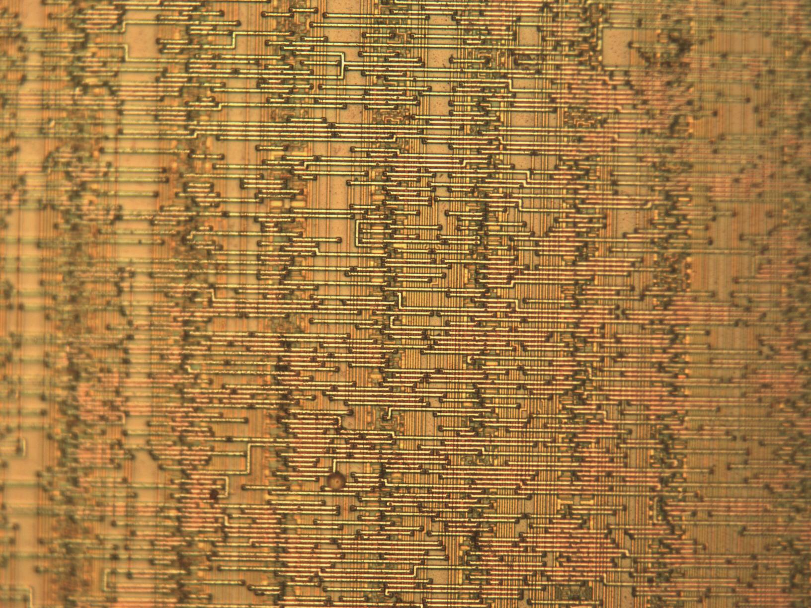 sample_mit20x.jpg