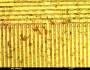 mcmaster:unknown:yellow_plaque_right_wafer_smc_3007:sample_mit20x.jpg