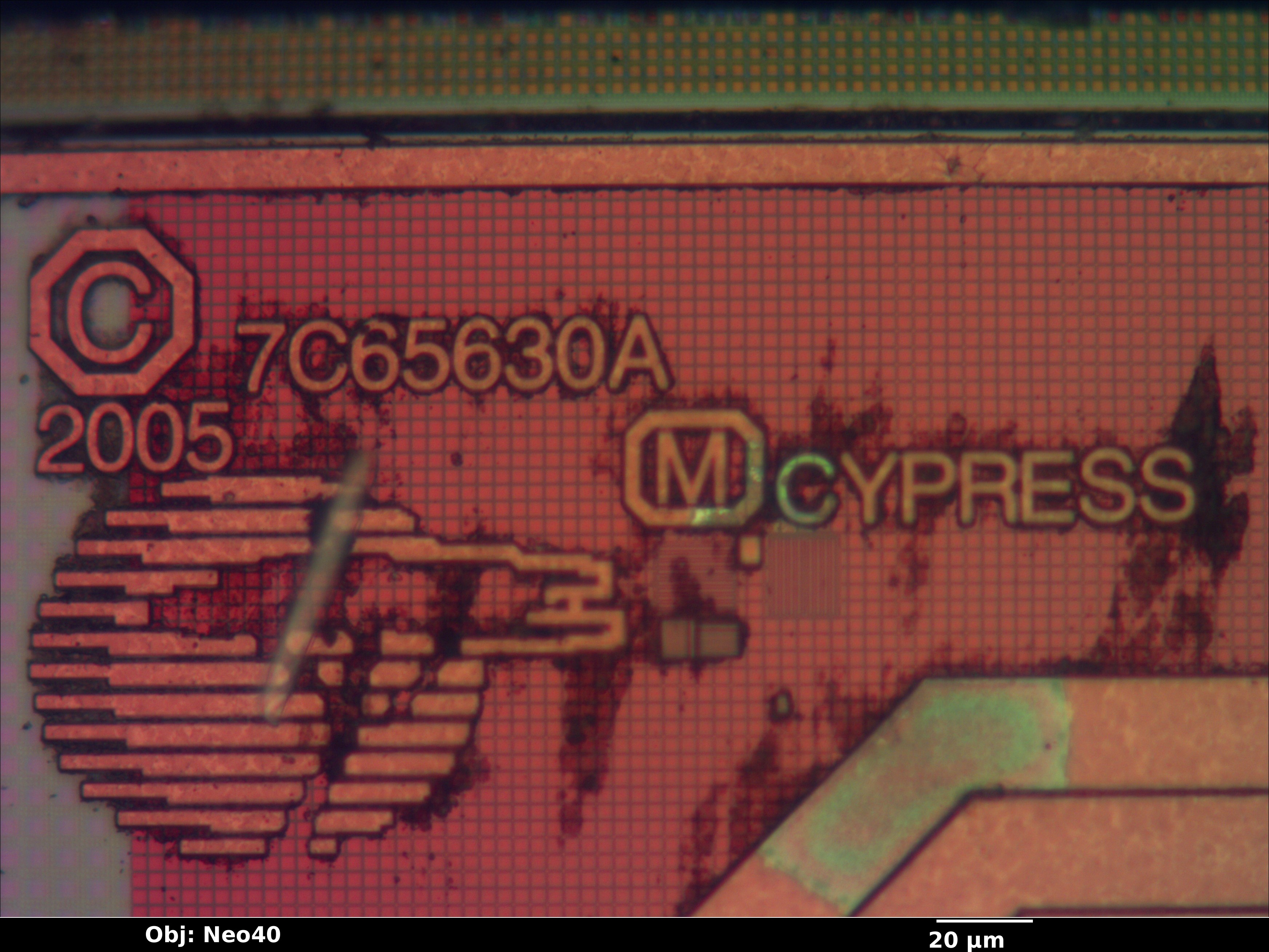cy765631_22_bf_neo40x_annotated.jpg