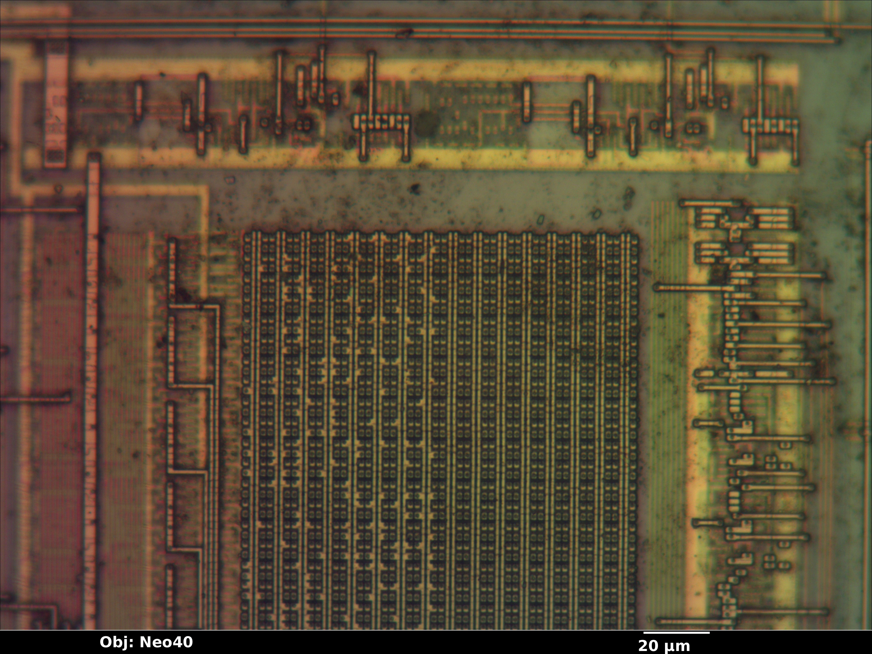 cy28323pvc_21_bf_neo40x_annotated.jpg