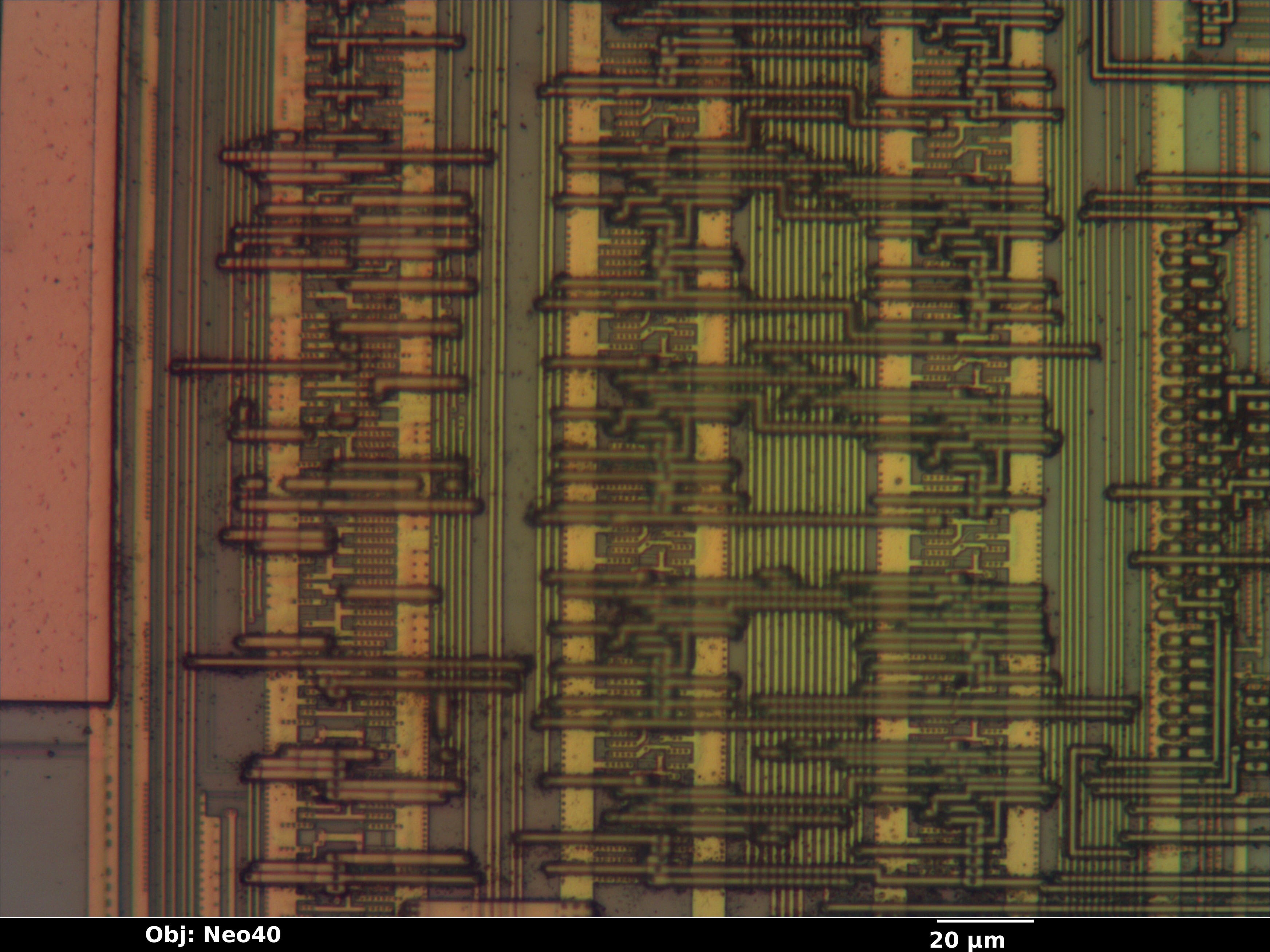 cy28323pvc_26_bf_neo40x_annotated.jpg