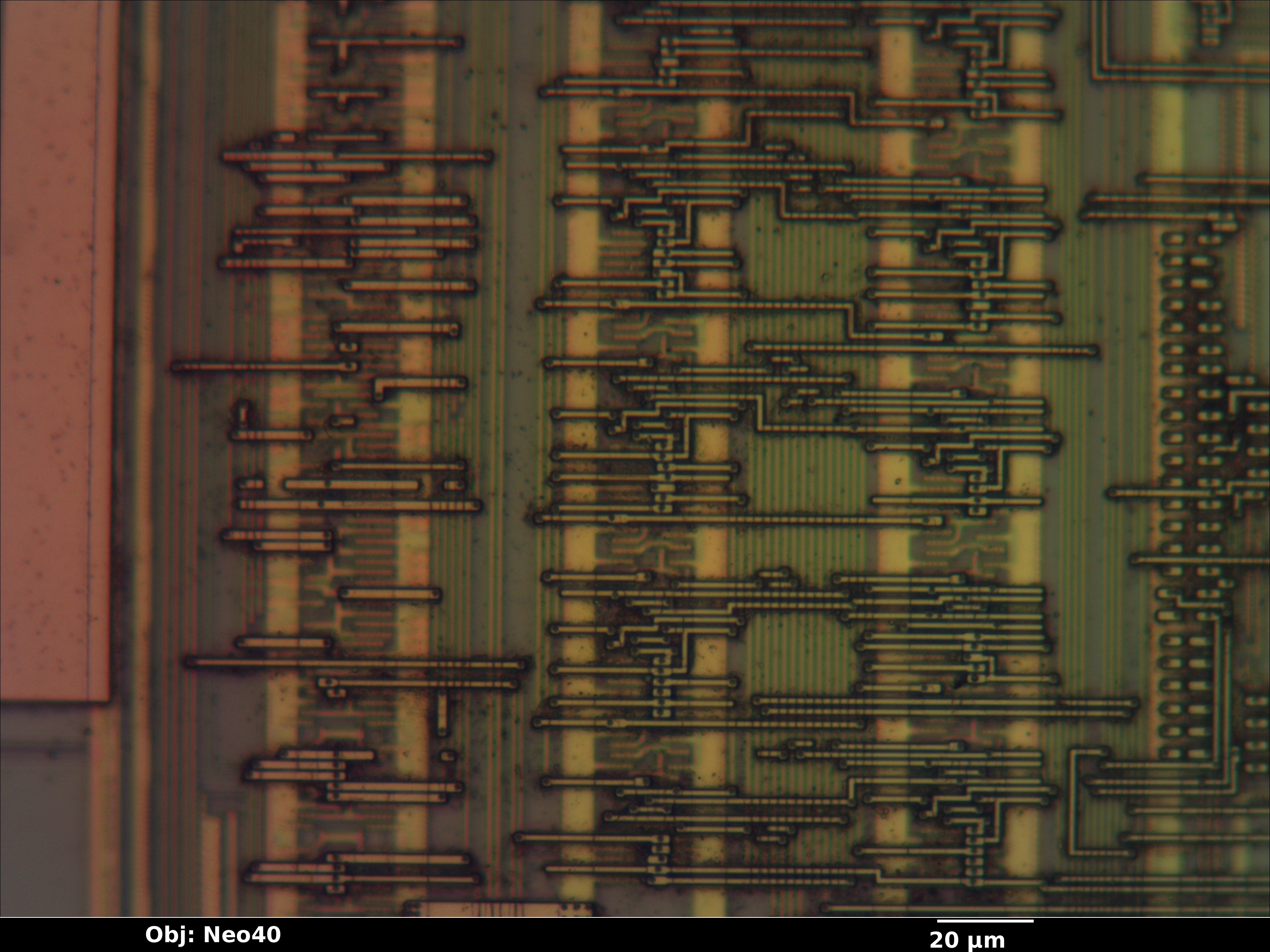 cy28323pvc_25_bf_neo40x_annotated.jpg